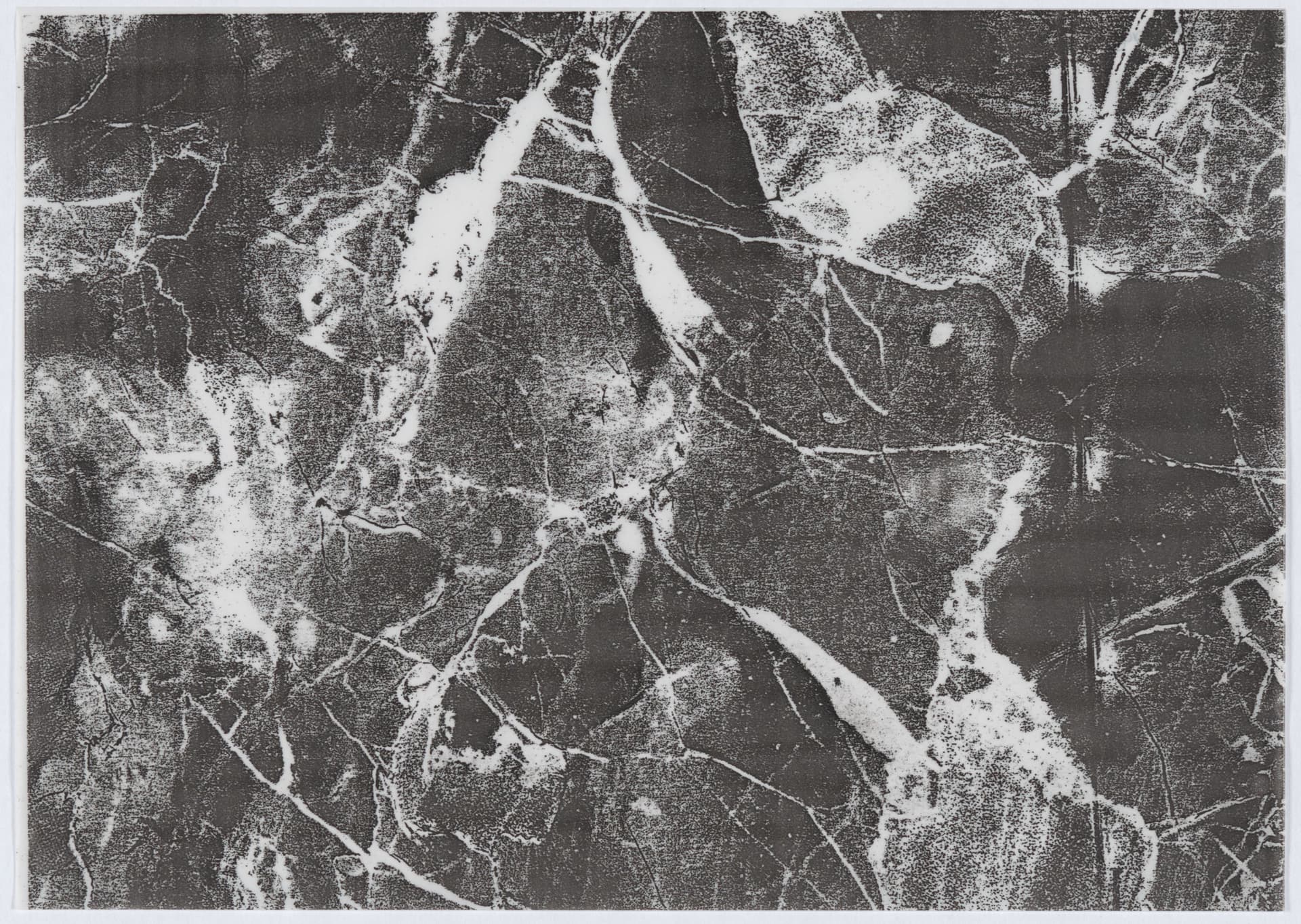 Frits van Dongen regularly used zips in his design drawings. Here we see an unused imitation marble texture zip from his archive, 1990 – 2000. Collection Het Nieuwe Instituut, archive Frits van Dongen, DONF 1698.  