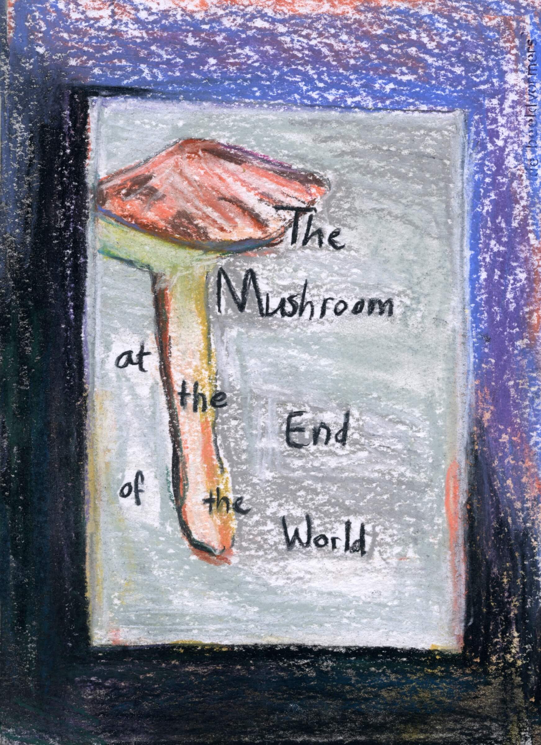 Remote Reading Room: Anna Tsing 02/05/2019, event documentation, Beeldvormers.  