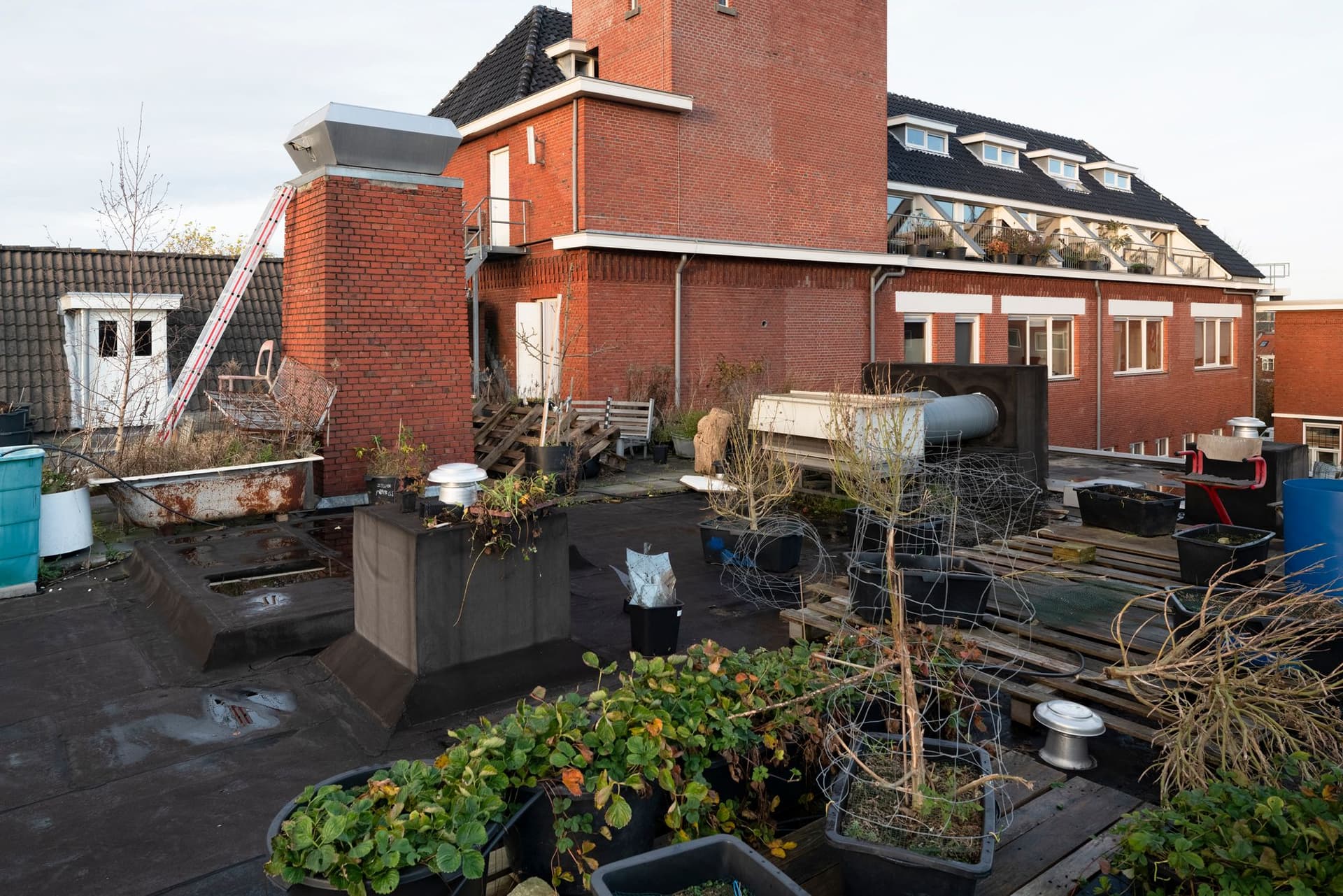 ORKZ in Groningen is a repurposed former hospital with combined living and work spaces, housing around 250 people. Photo by Johannes Schwartz. 