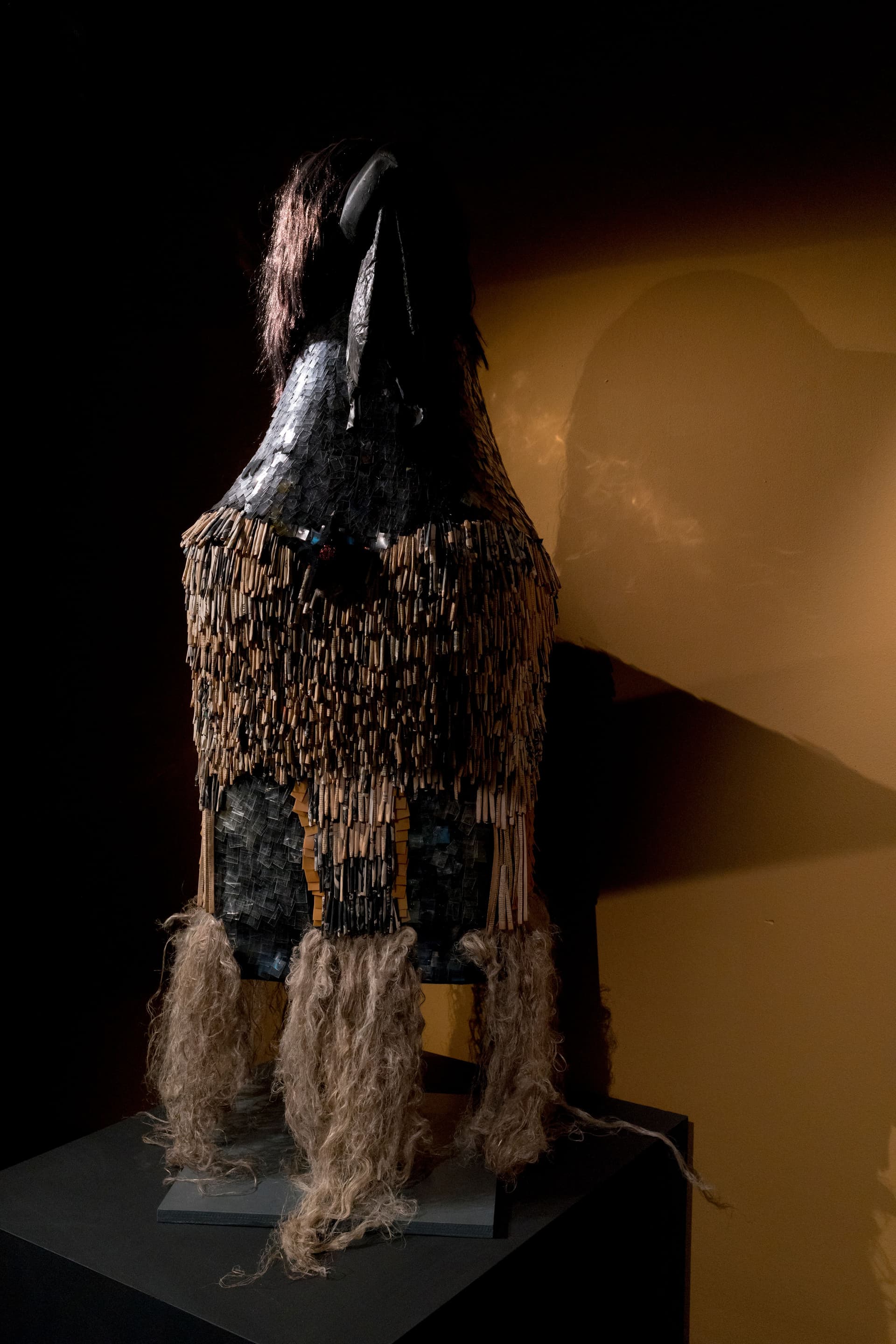 The Transylvania Archive. Photo Johannes Schwartz 