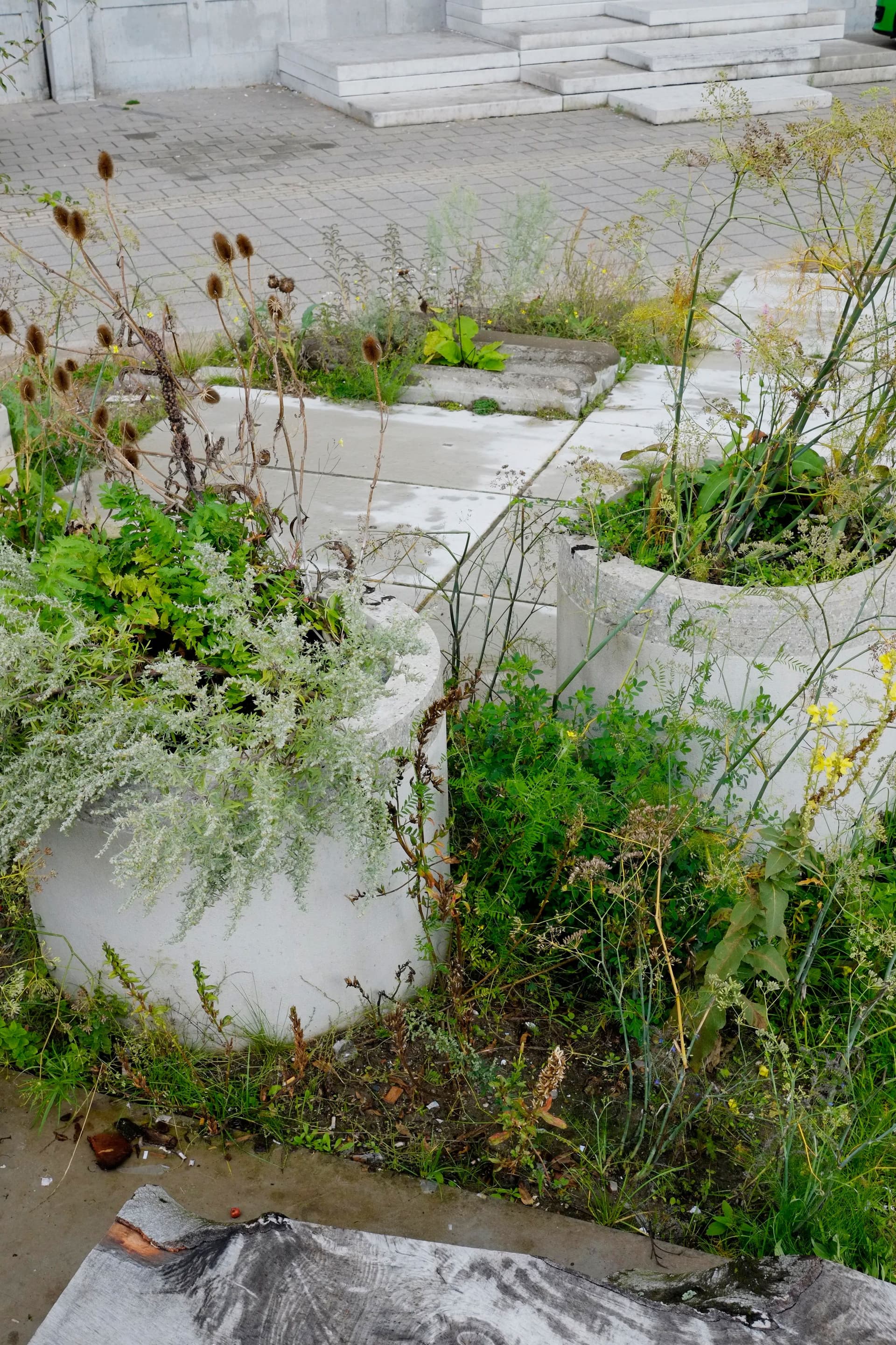 New Garden, summer 2015. Photo Johannes Schwartz 