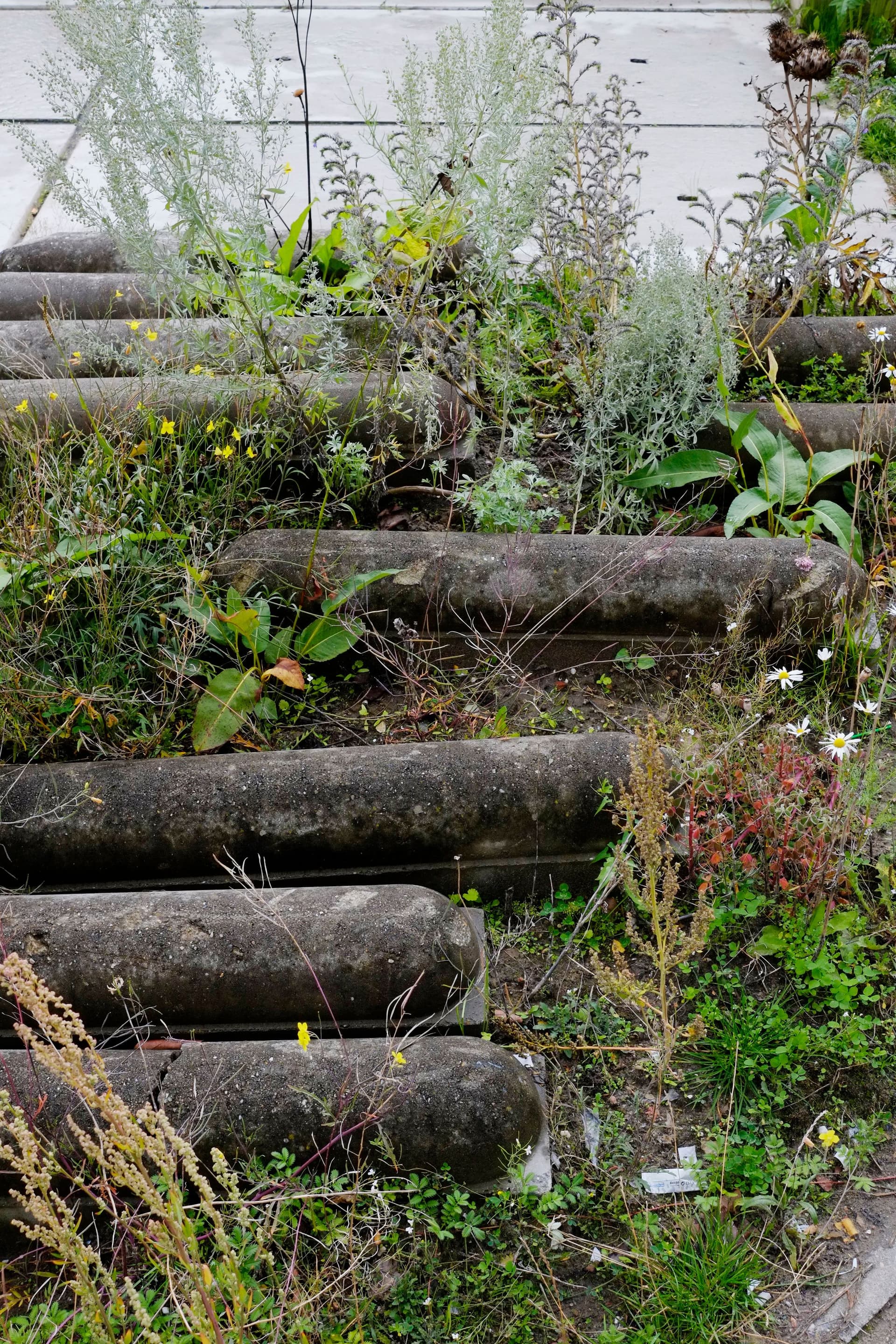 New Garden, summer 2015. Photo Johannes Schwartz 