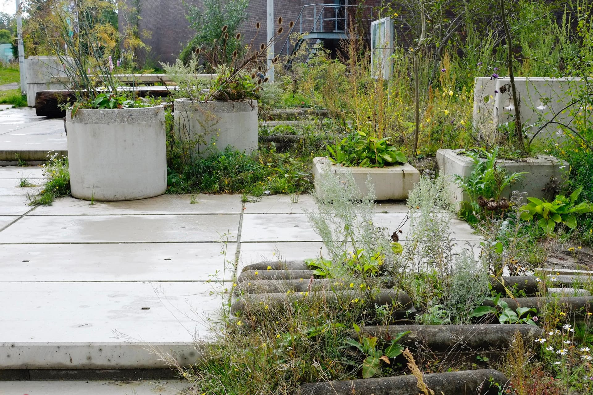 De Nieuwe Tuin, zomer 2015. Foto Johannes Schwartz 