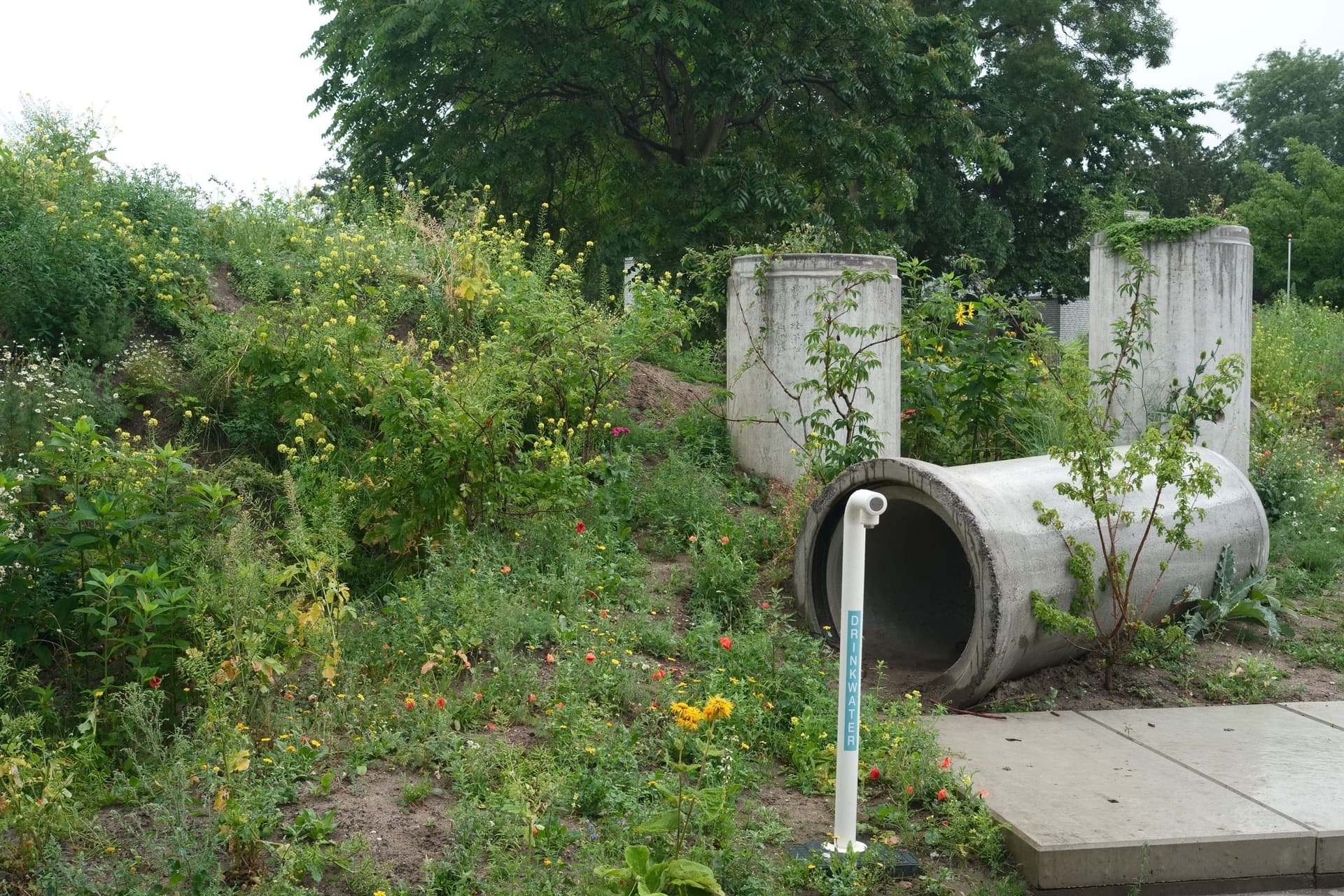 De Nieuwe Tuin. Juli 2015. Foto Johannes Schwartz 