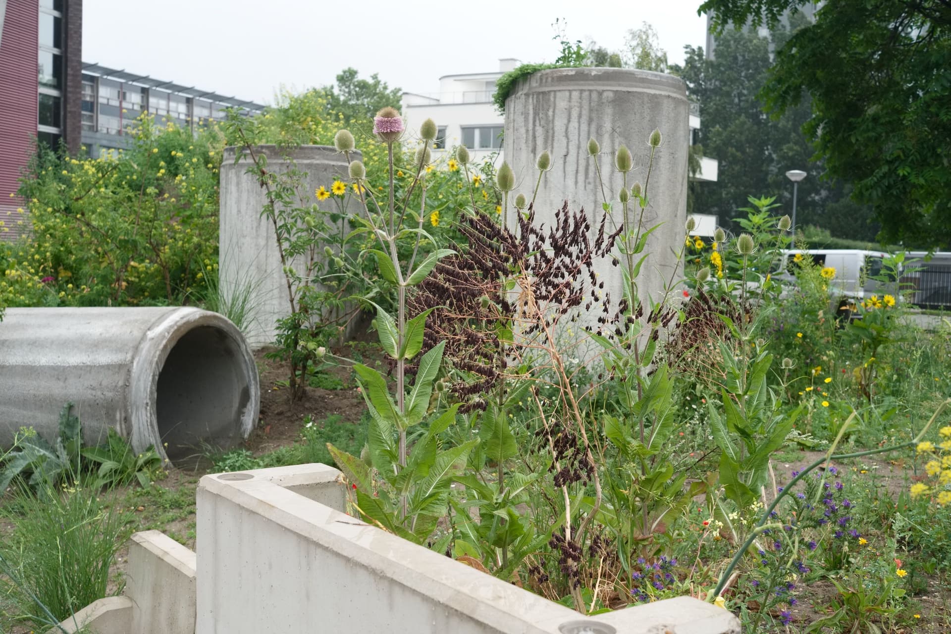 New Garden. July 2015. Photo Johannes Schwartz 