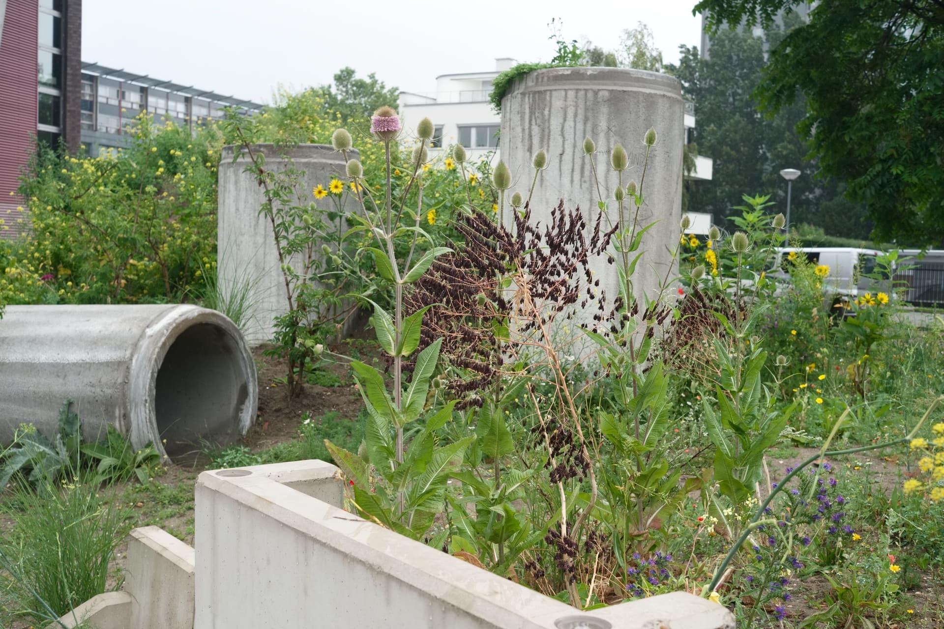 The New Garden. July 2015. Photo Johannes Schwartz 