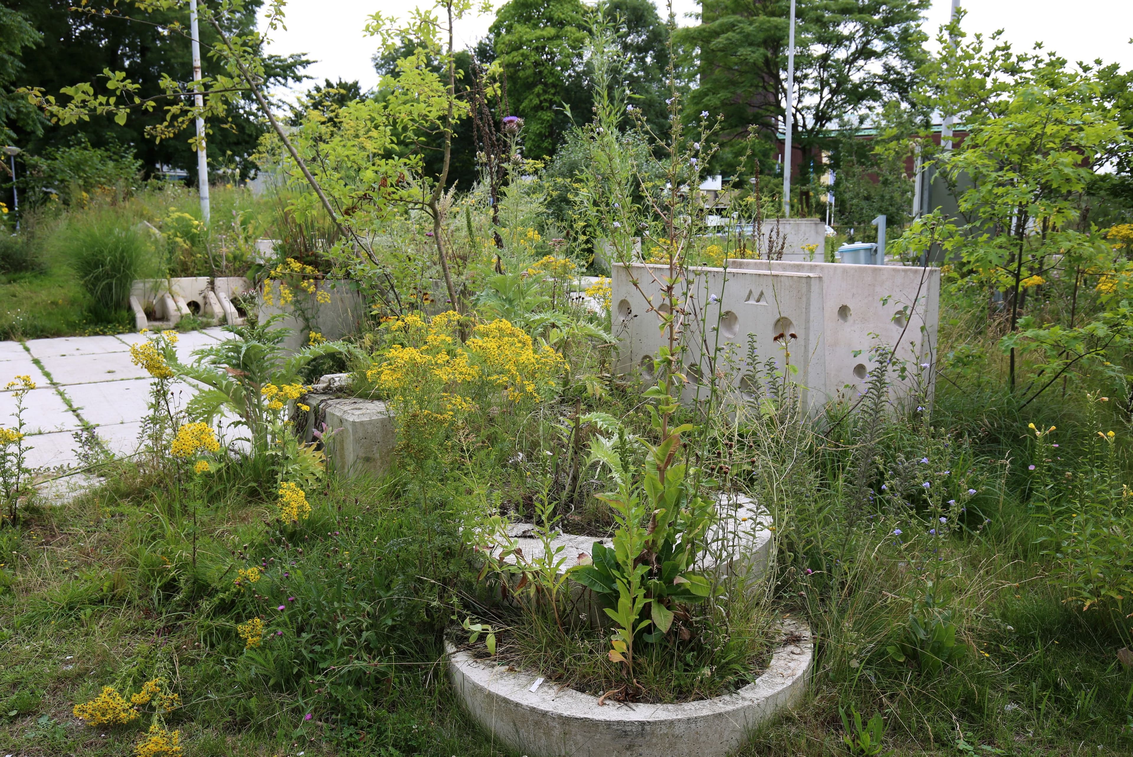 The New Garden. Photo Frank Bruggeman. 