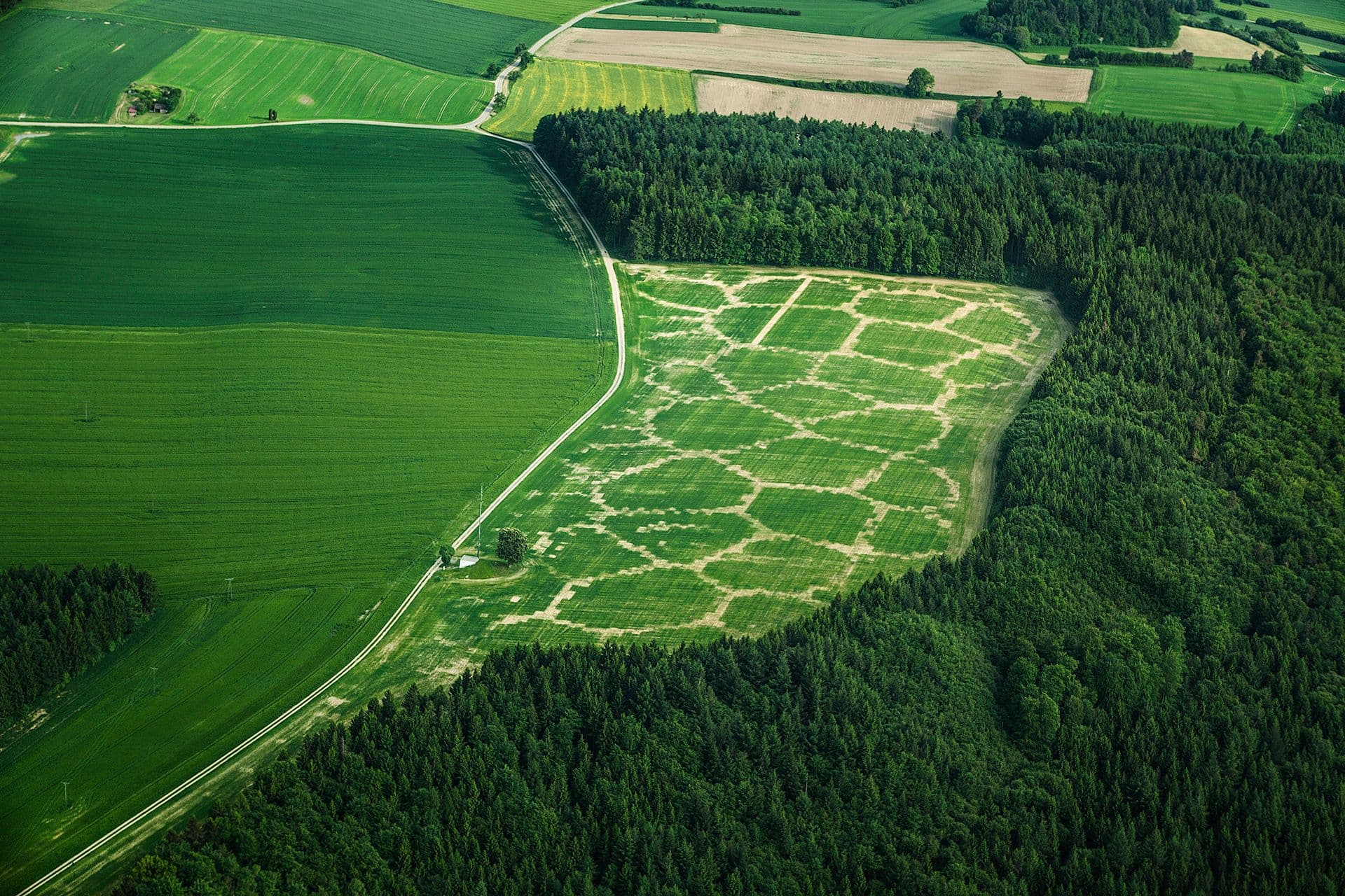Benedikt Groß - Avena+ Test Bed, 2013.  