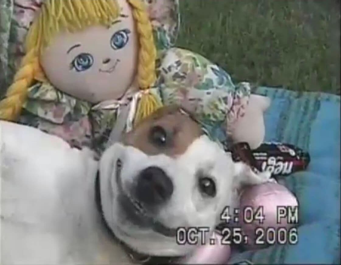 Line. Video still. Kubilay Mert Ural, 2006. Courtesy of the artist and The One Minutes Foundation 