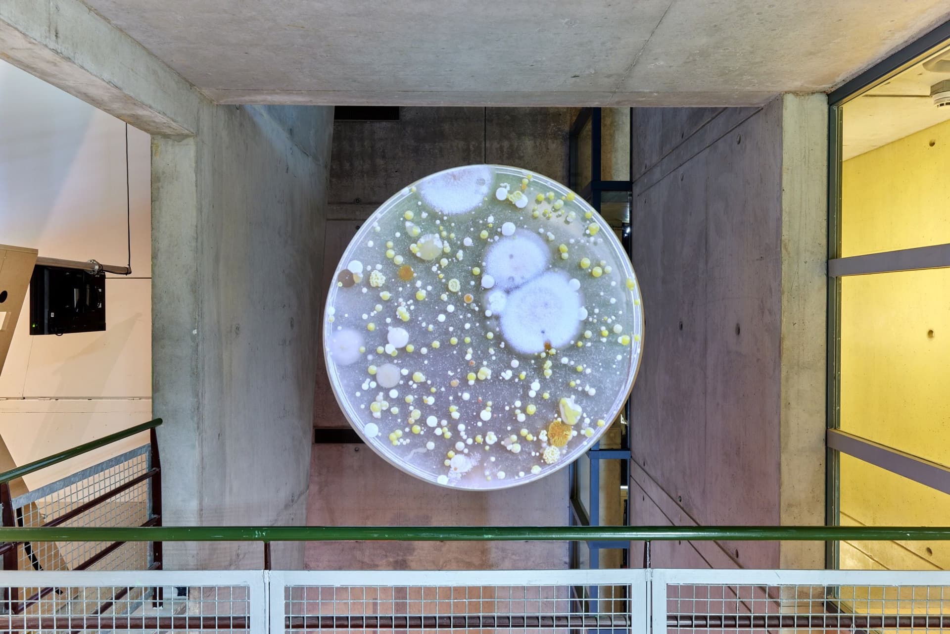 Nina van Hartskamp, Worlds Within. Part of the exhibition In Search of the Pluriverse. Photo: Aad Hoogendoorn. 