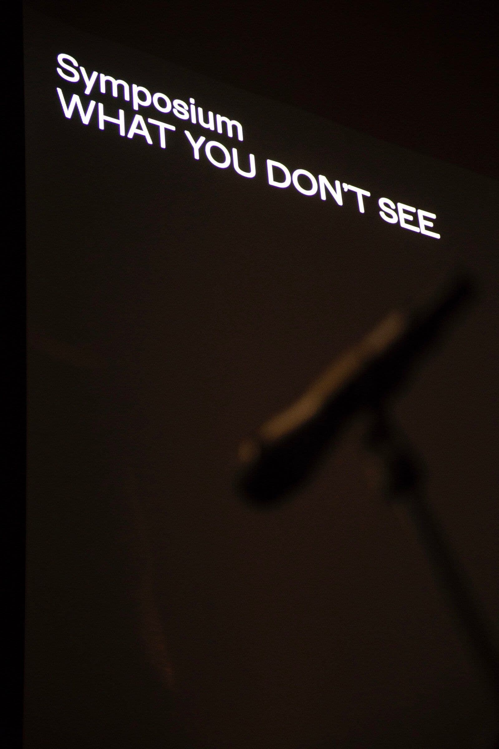 Symposium: What You Don't See. Photo Florine van Rees. 