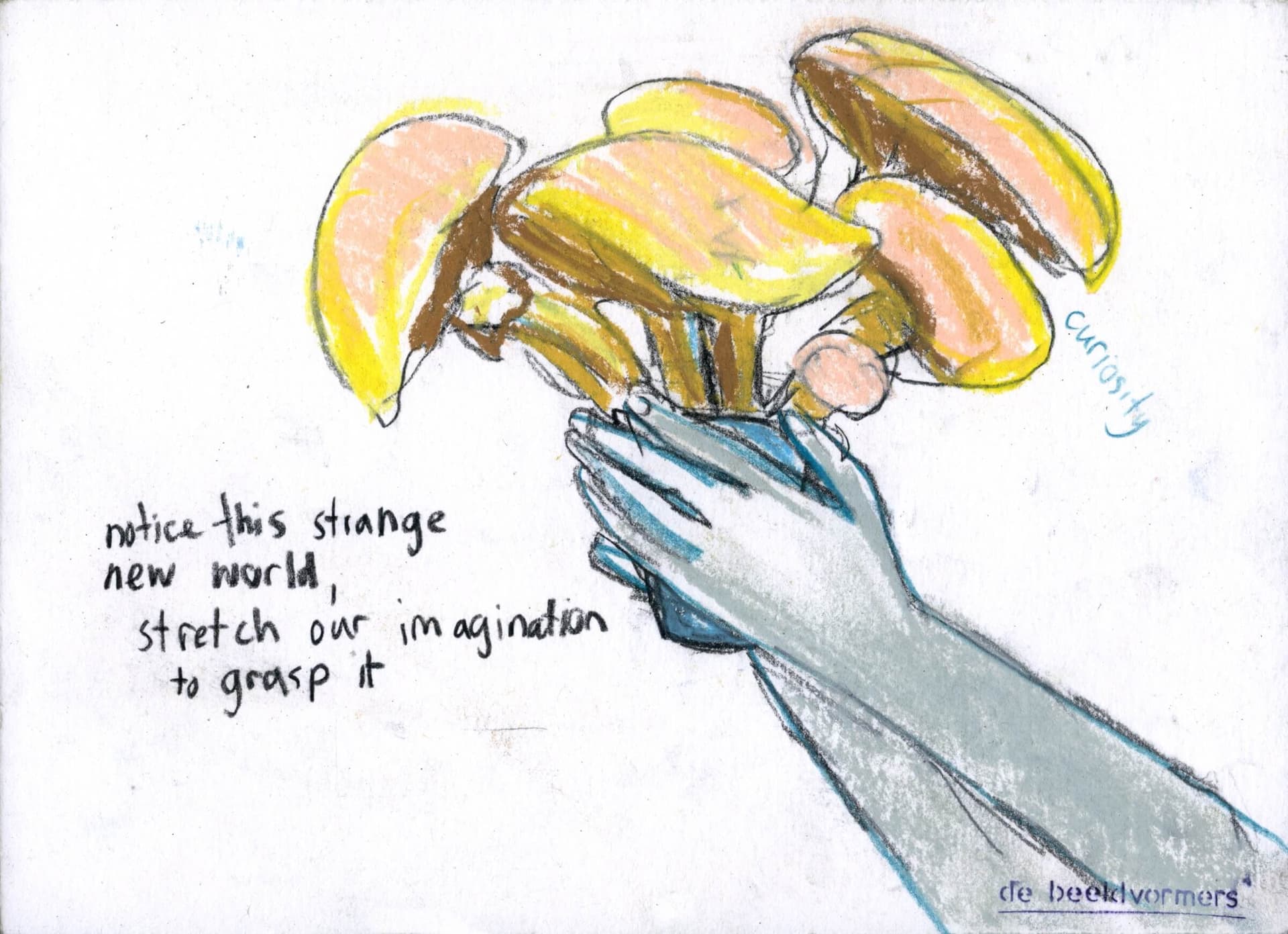 Remote Reading Room: Anna Tsing 02/05/2019, event documentation, Beeldvormers.  