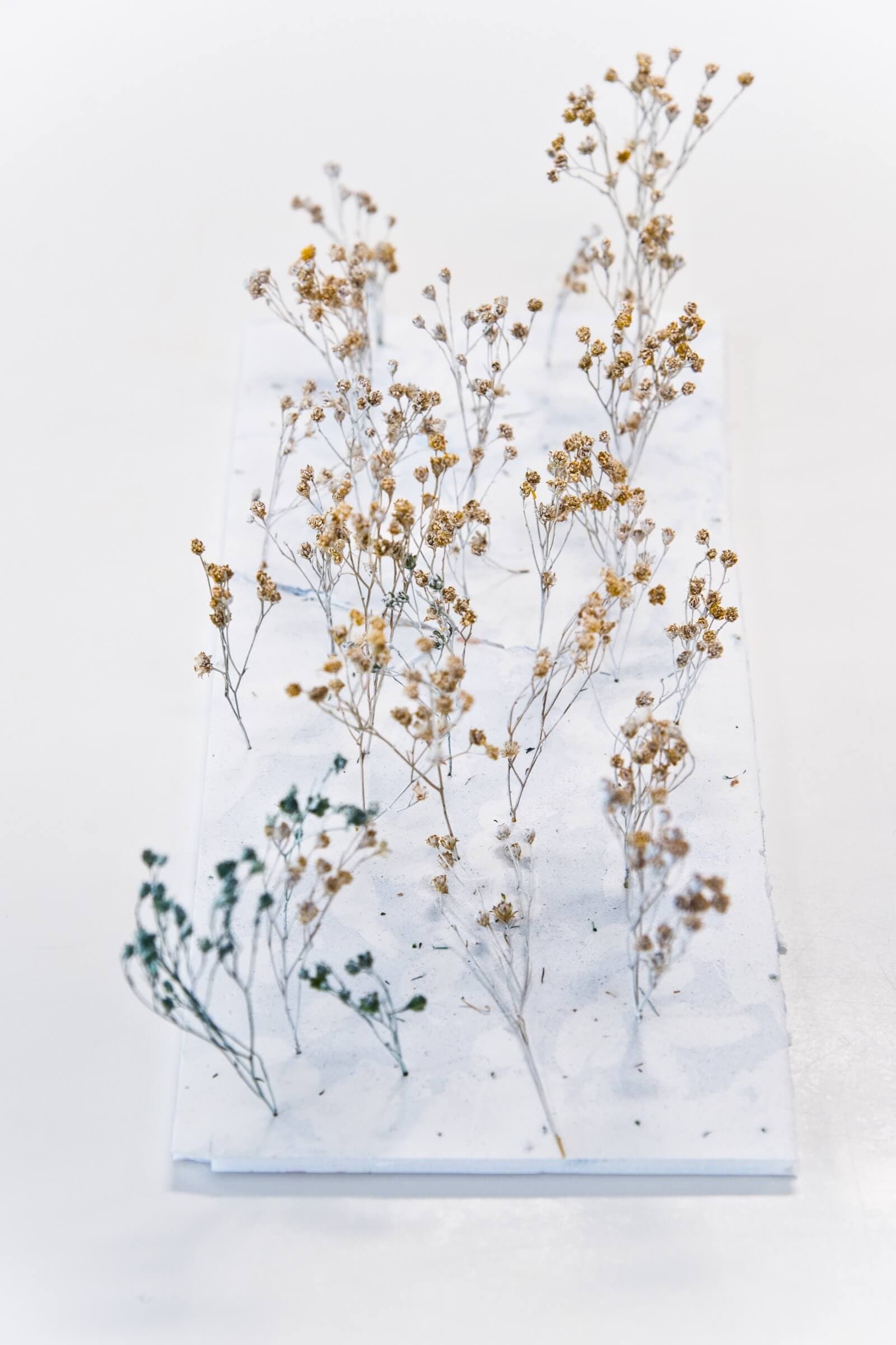 LOLA Landscape Architects. Photo Petra van der Ree 