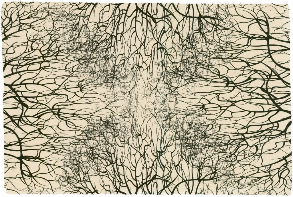 Pattern on paper from Michael van Gessel’s extensive visual library. Collection Nieuwe Instituut, GESS h102-2-5