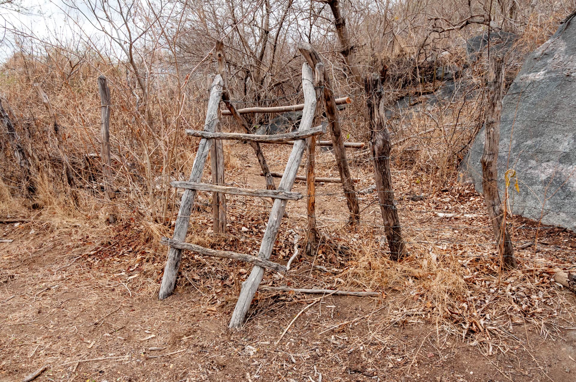 Ladder built to give access to a monolith located on a private property. Photo: O grupo inteiro. 