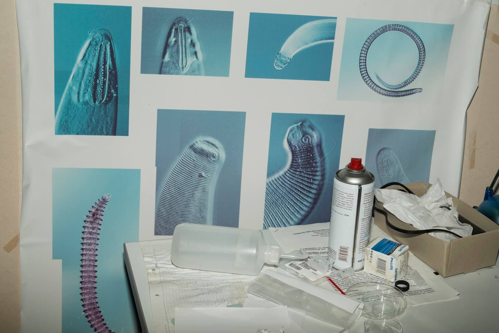 Alfred Wegener Institute AWI, laboratory HGF-MPG Group for Deep-Sea Ecology and Technology, Bremerhaven, Duitsland. Foto © Armin Linke, 2017 
