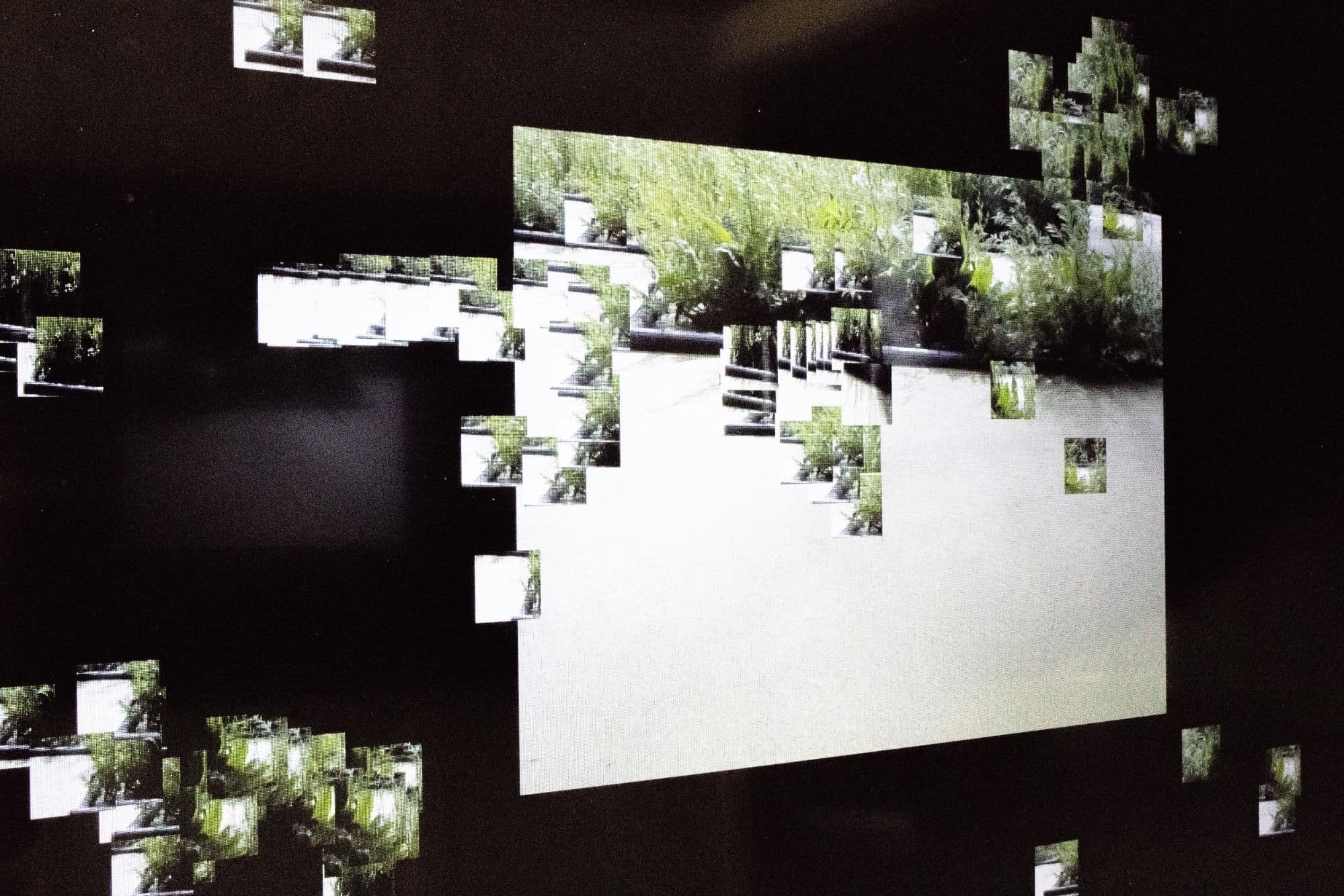  DeepSteward, developed by Ian Ingram and Theun Karelse, is an unsupervised machine-learning-system that develops taxonomies of ecological behaviours that are not based on prior human understanding of ecology.  
