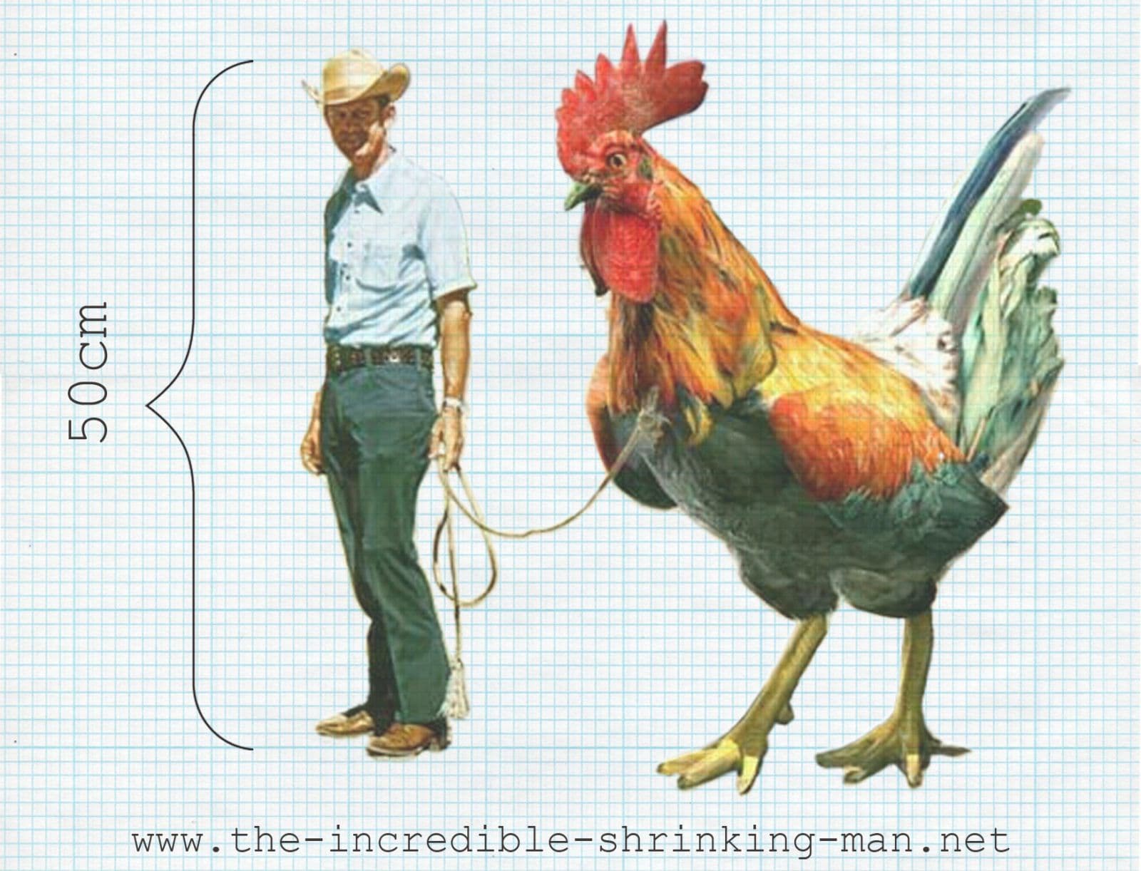  Incredible Shrinking Man. Beeld met dank aan de kunstenaar 
