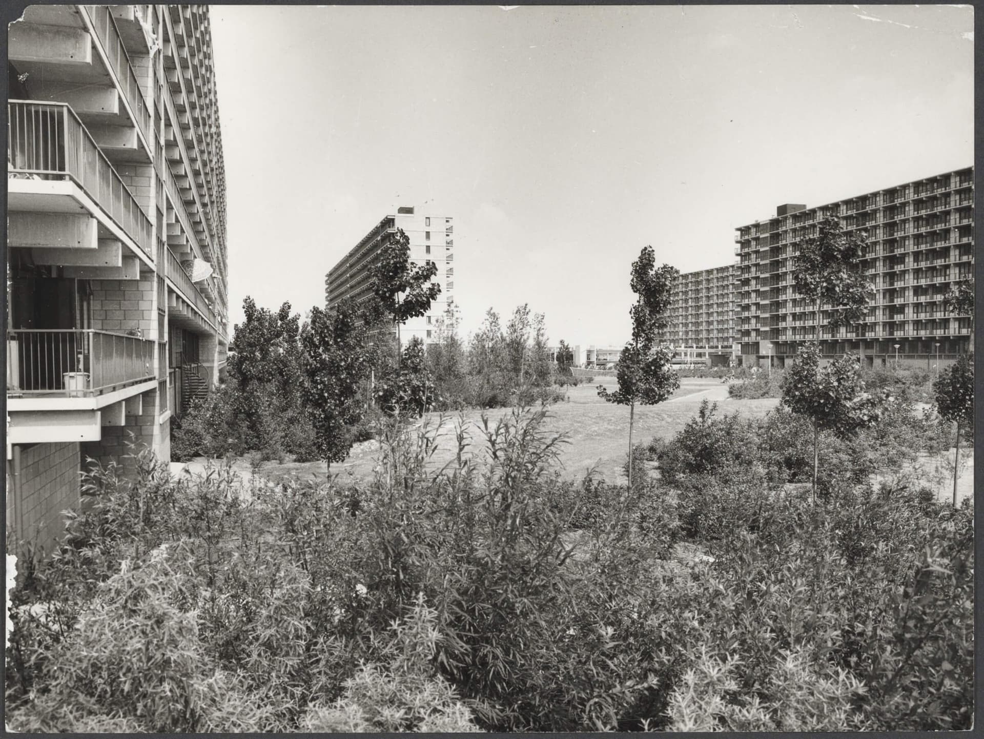 Siegried Nassuth, Hexagonal green hearts amidst the honeycomb flats, Bijlmer, Amsterdam, undated. Photographer unknown. Collection Het Nieuwe Instituut, Siegfried Nassuth archive. 