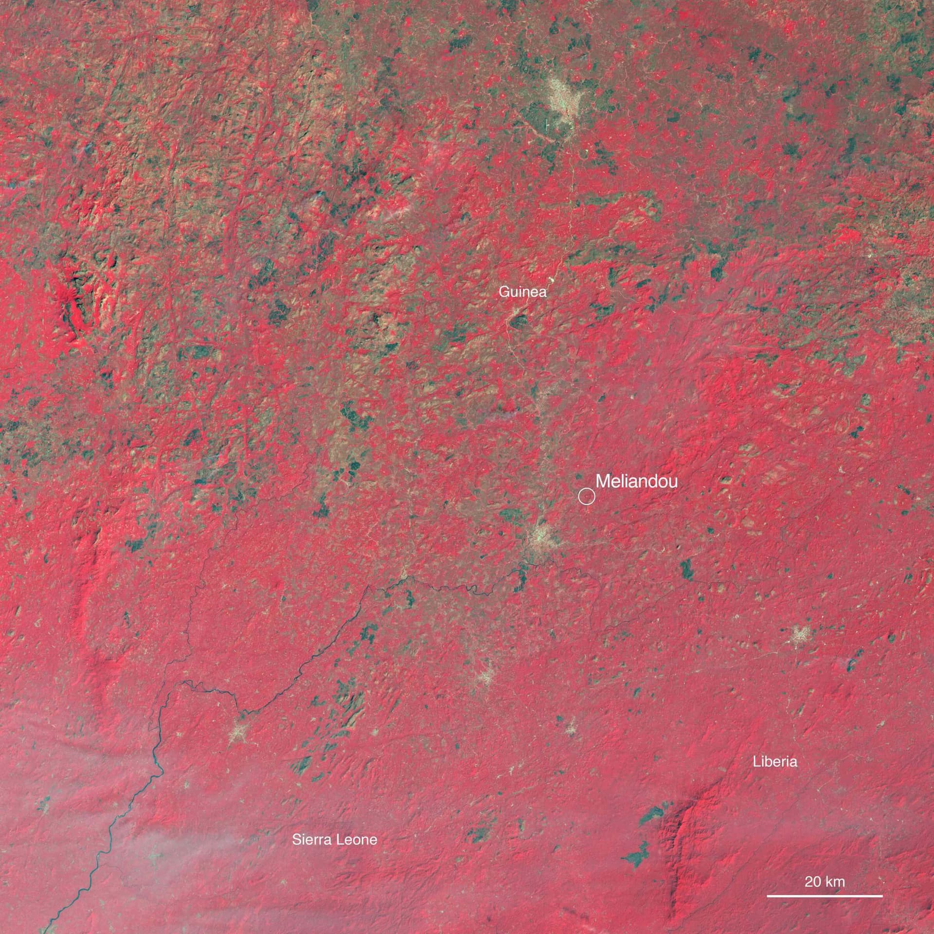 The Western Guinea region where the 2014 Ebola epidemic began. These infrared satellite images (taken in 1985, 2002, and 2016) show a clear depletion of forest cover (red) and an expansion of towns and villages (light grey). Data: Landsat/USGS. 