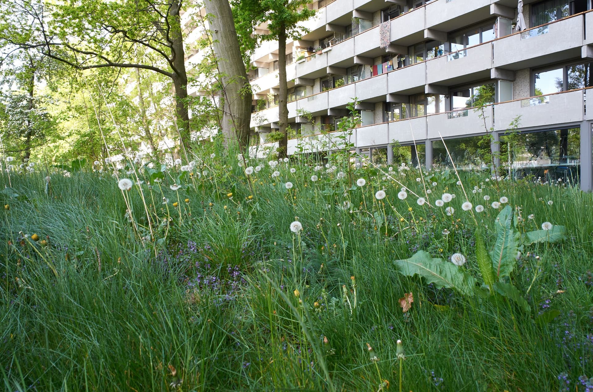 Urbaniahoeve. Debra Solomon and Renate Nollen in collaboration with Community of Praxis Amsterdam Zuid Oost Food Forest. Photo: Johannes Schwartz. 