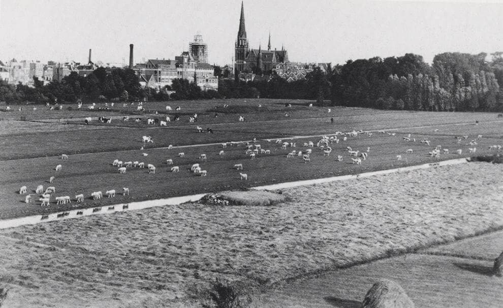 Land van Hoboken, ca. 1915. Collection Het Nieuwe Instituut 