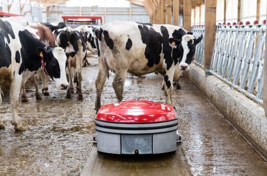 Dairy farm, The Netherlands. Photo Lely International. 