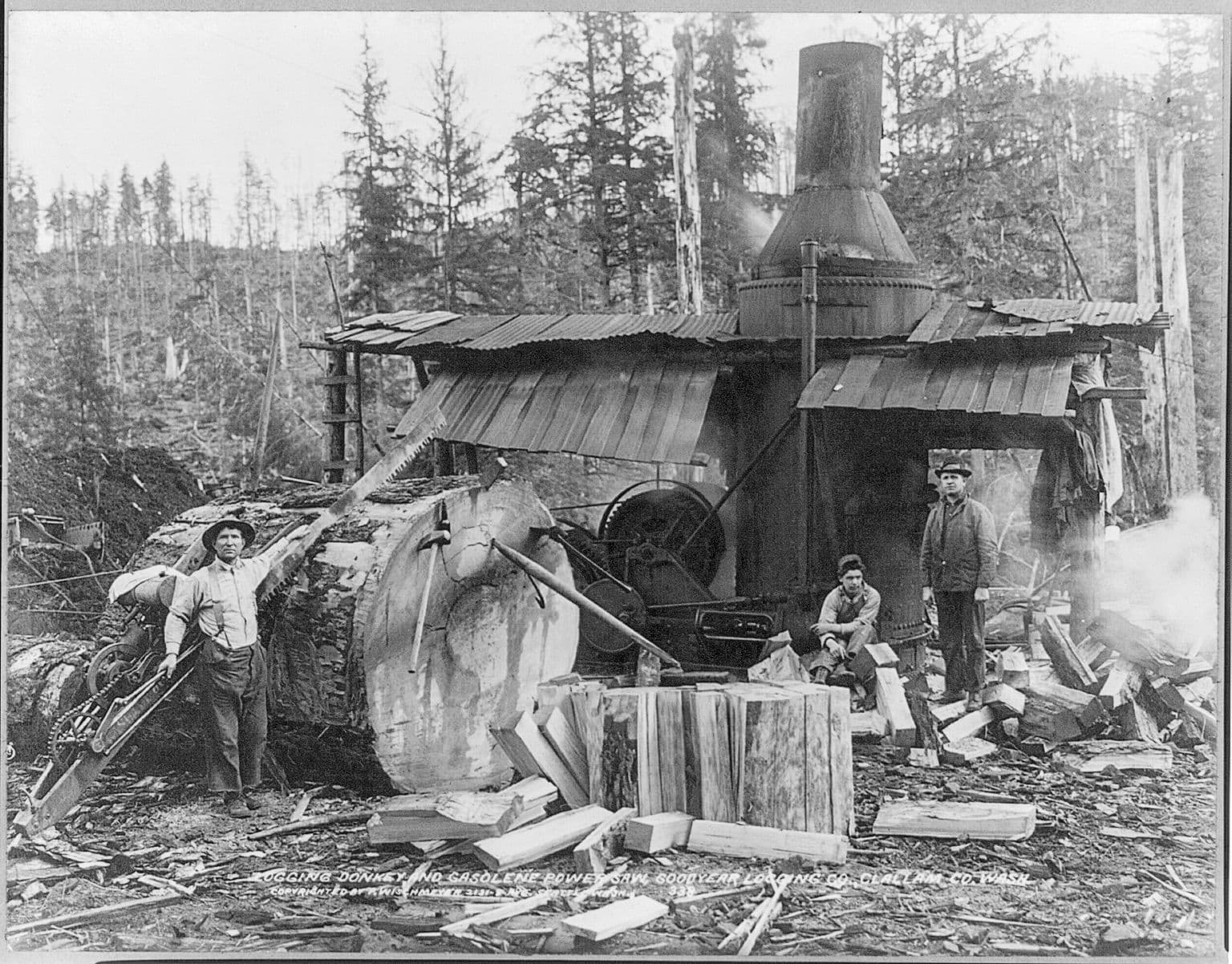 Logging donkey and gasolene power saw, Goodyear Logging Co., Clallam Co., Wash. Photo Russell Lee, 1919. Collection Library of Congres 