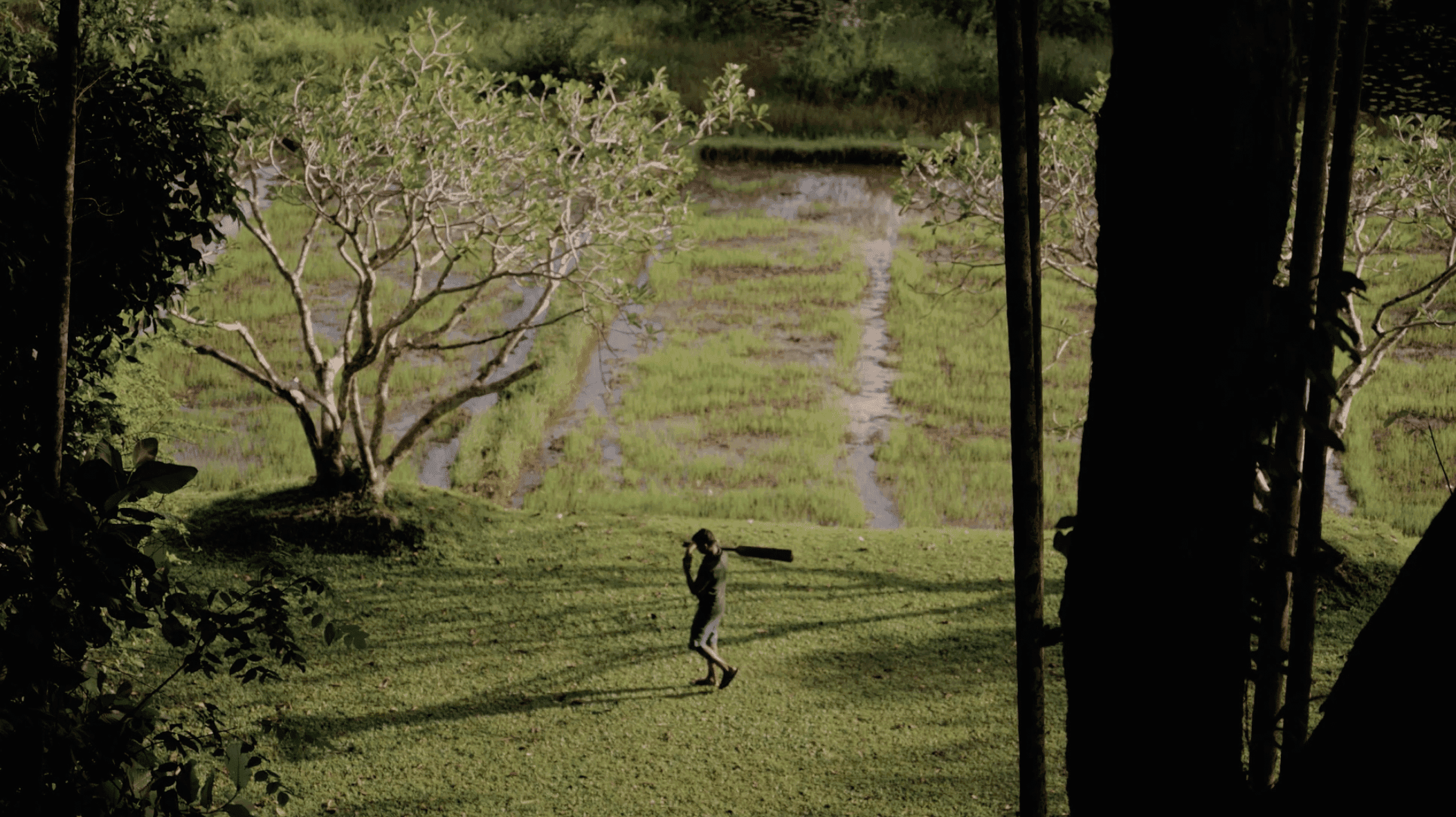 A still from lununanga.garden by the Geoffrey Bawa Trust