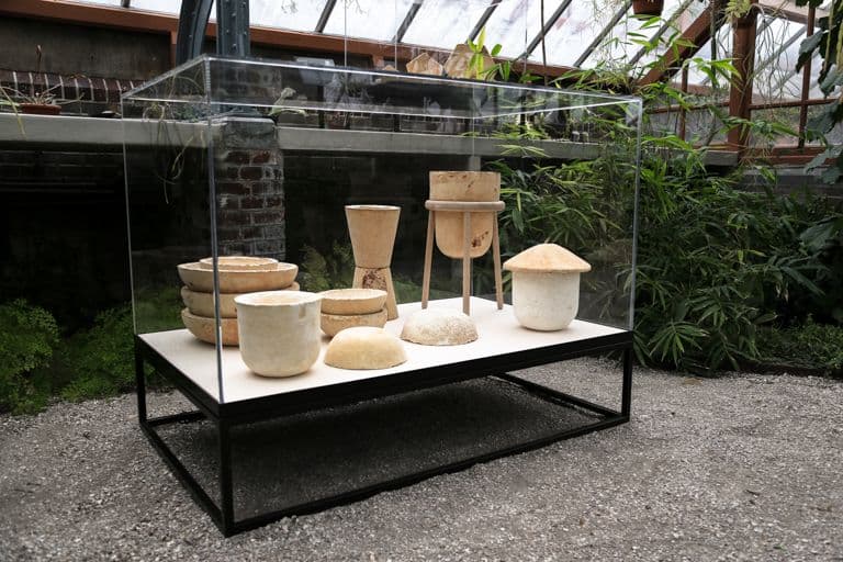  Maurizio Montalti, The Growing Lab Mycelia 