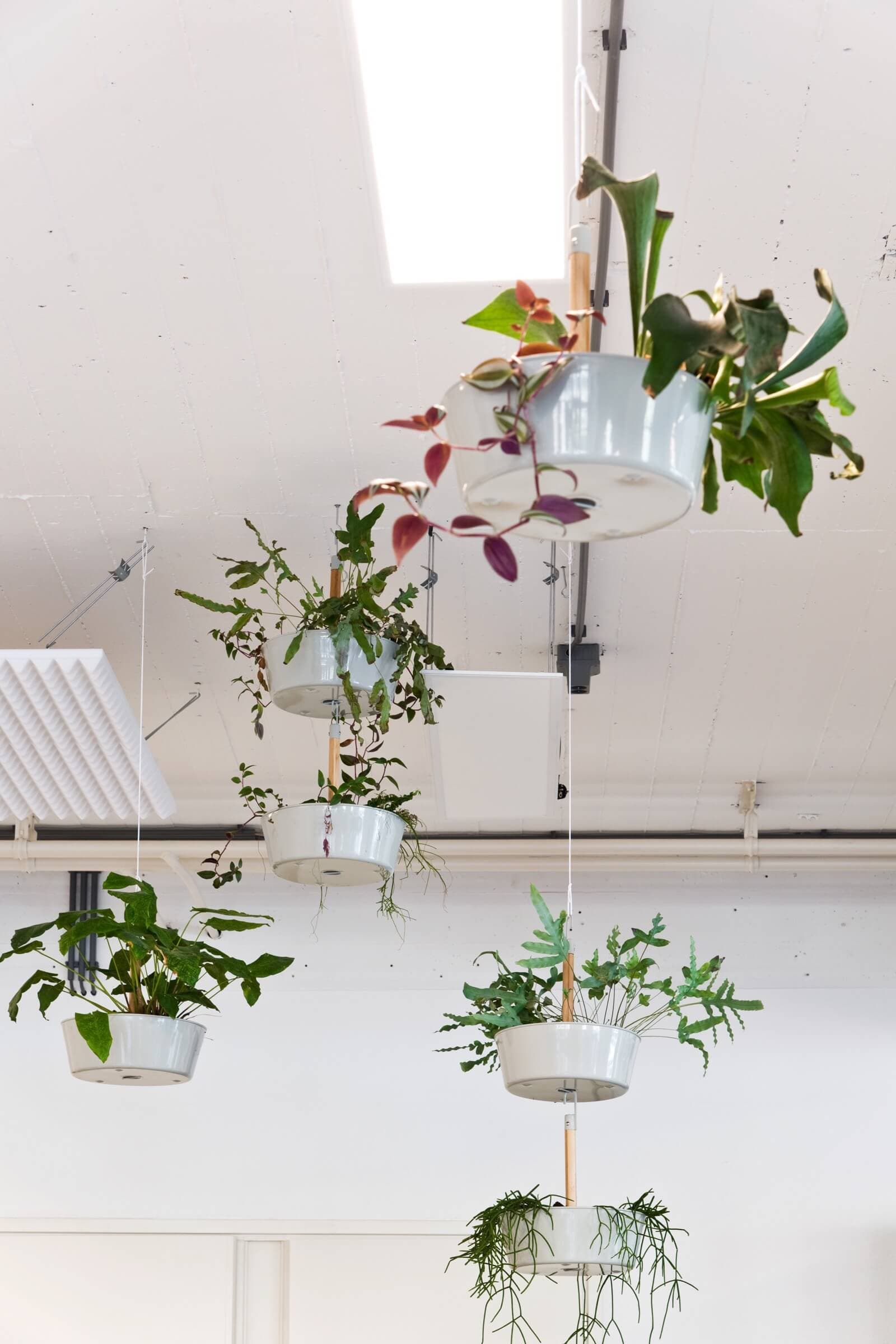 LOLA Landscape Architects. Photo Petra van der Ree 