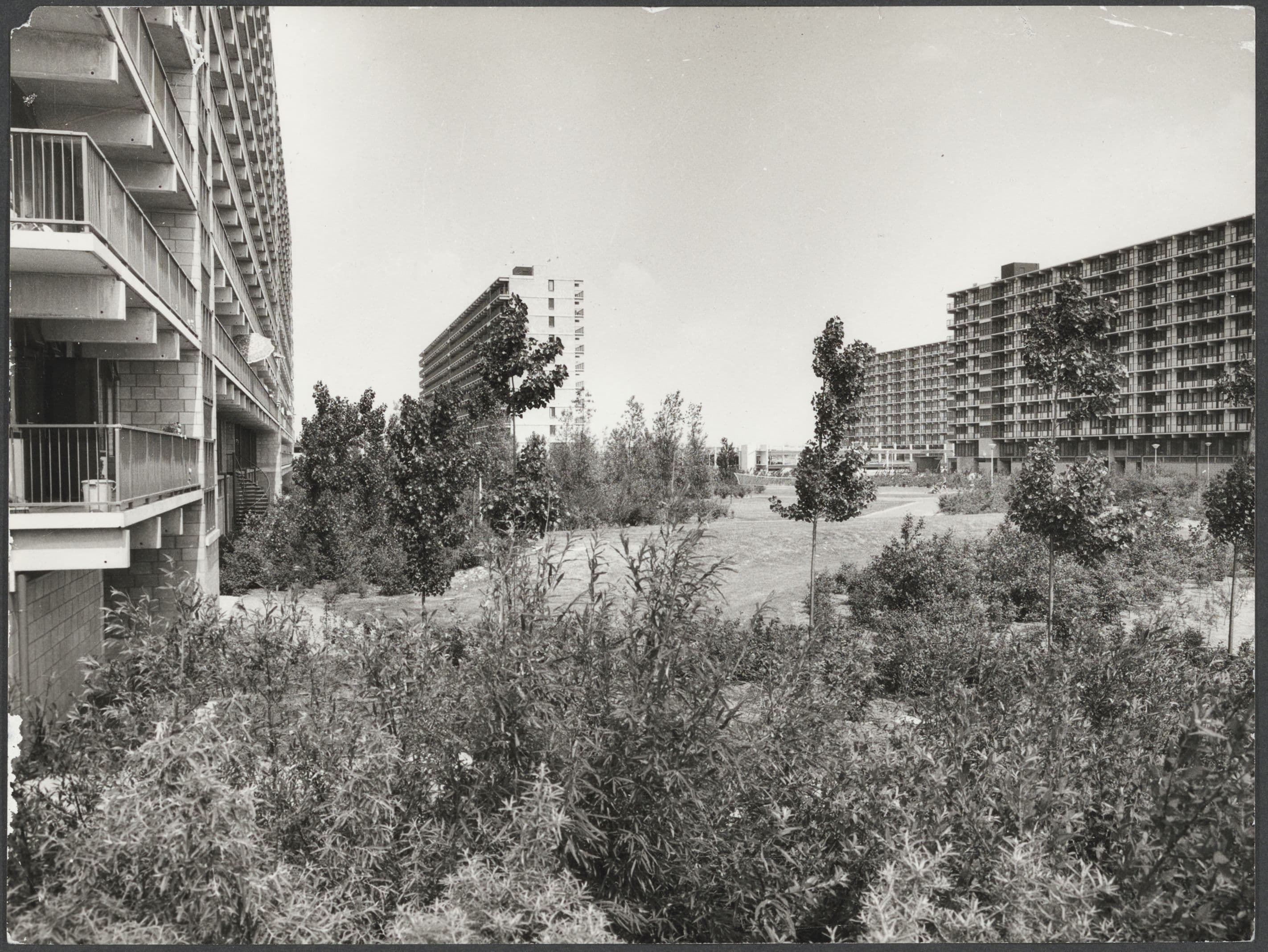 Siegried Nassuth, Hexagonal green hearts amidst the honeycomb flats, Bijlmer, Amsterdam, undated. Photographer unknown. Collection Het Nieuwe Instituut, Siegfried Nassuth archive.