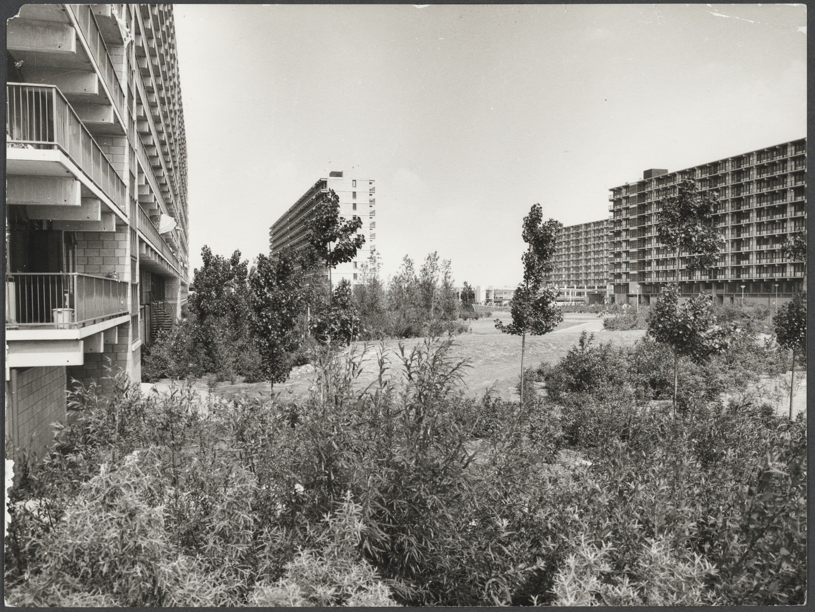 Siegried Nassuth, Hexagonal green hearts amidst the honeycomb flats, Bijlmer, Amsterdam, undated. Photographer unknown. Collection Het Nieuwe Instituut, Siegfried Nassuth archive.