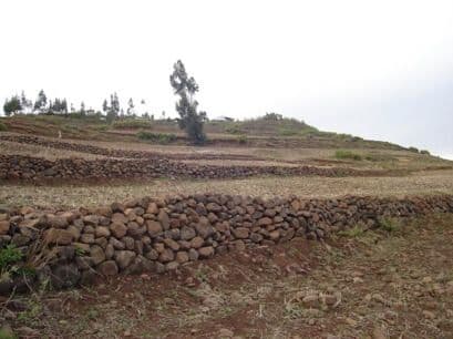 Stone bunds as soil and water conservation measures in Sahelian countries. Source: https://farmingfirst.org/ 