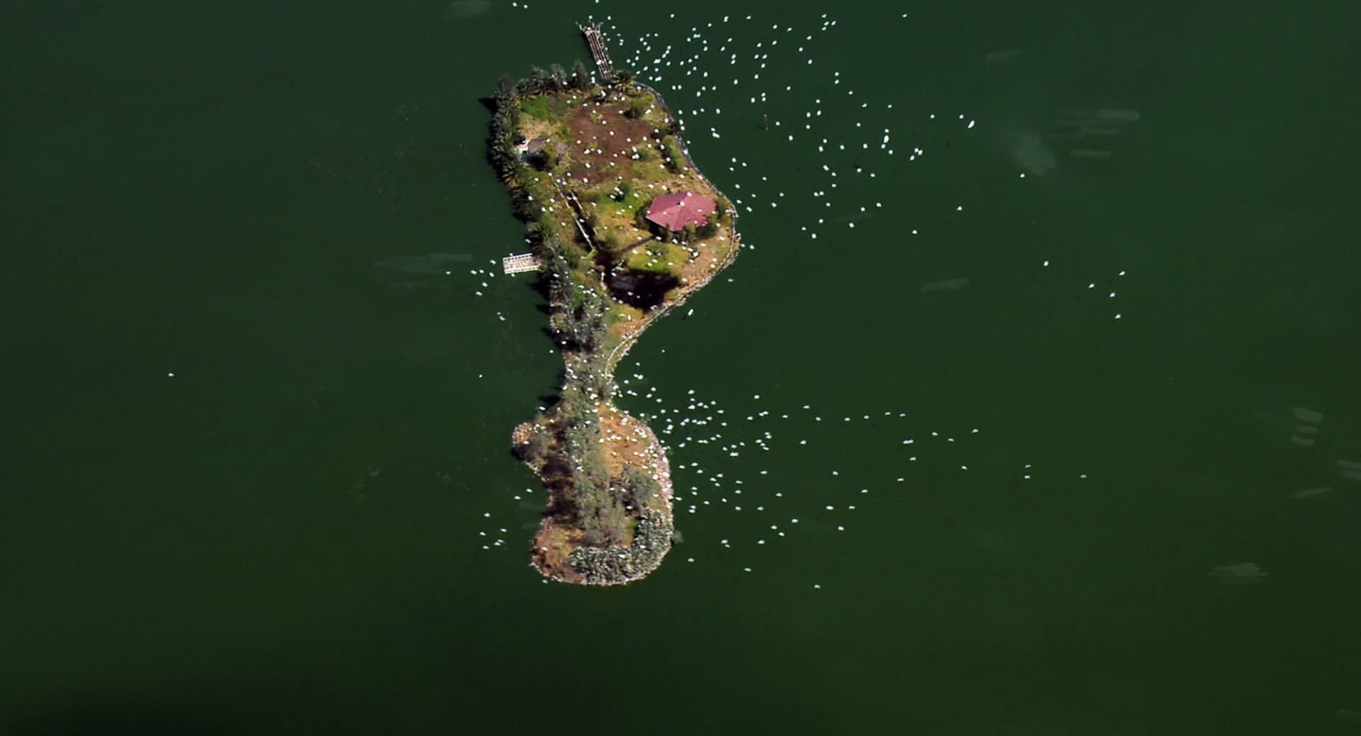 Beeld uit de film H20mx, Cactusfilm & Video 