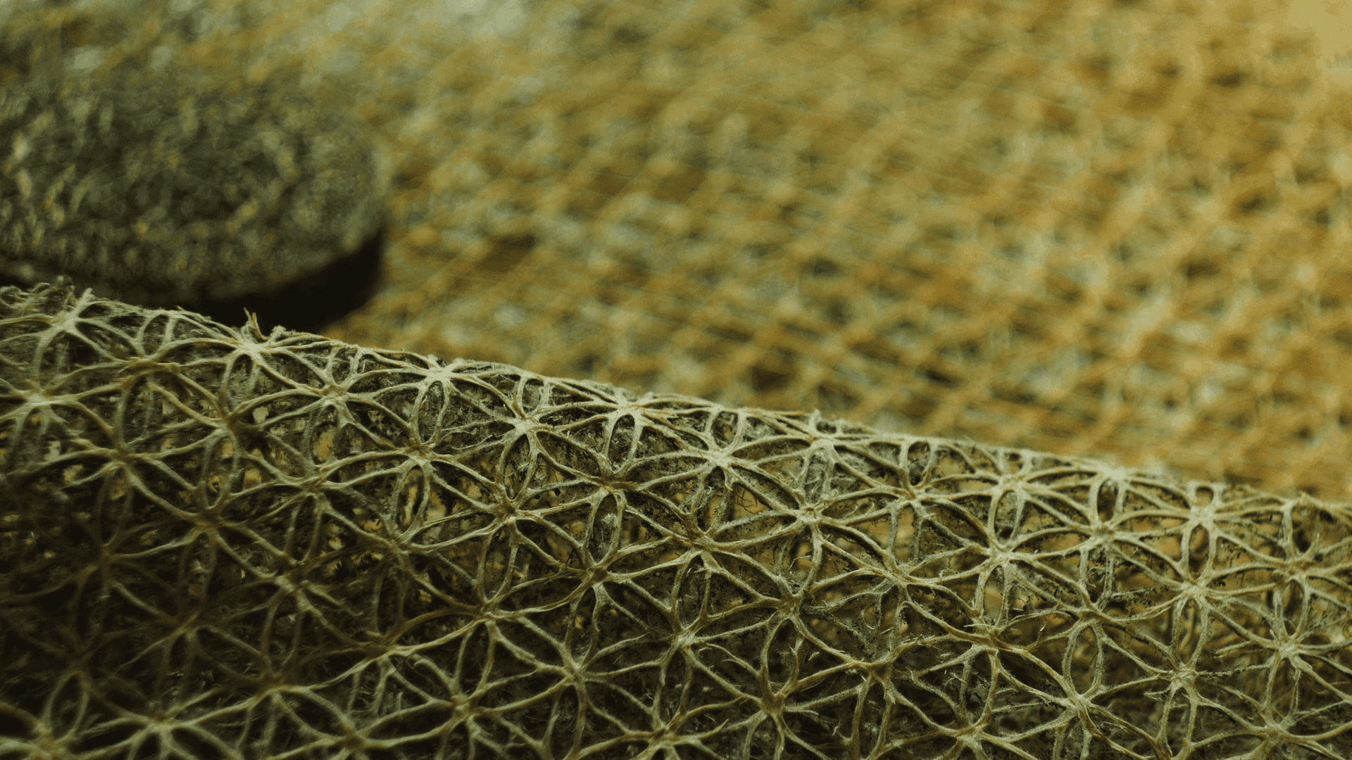 Interwoven (detail), Diana Scherer. Foto Lody Aeckerlin 