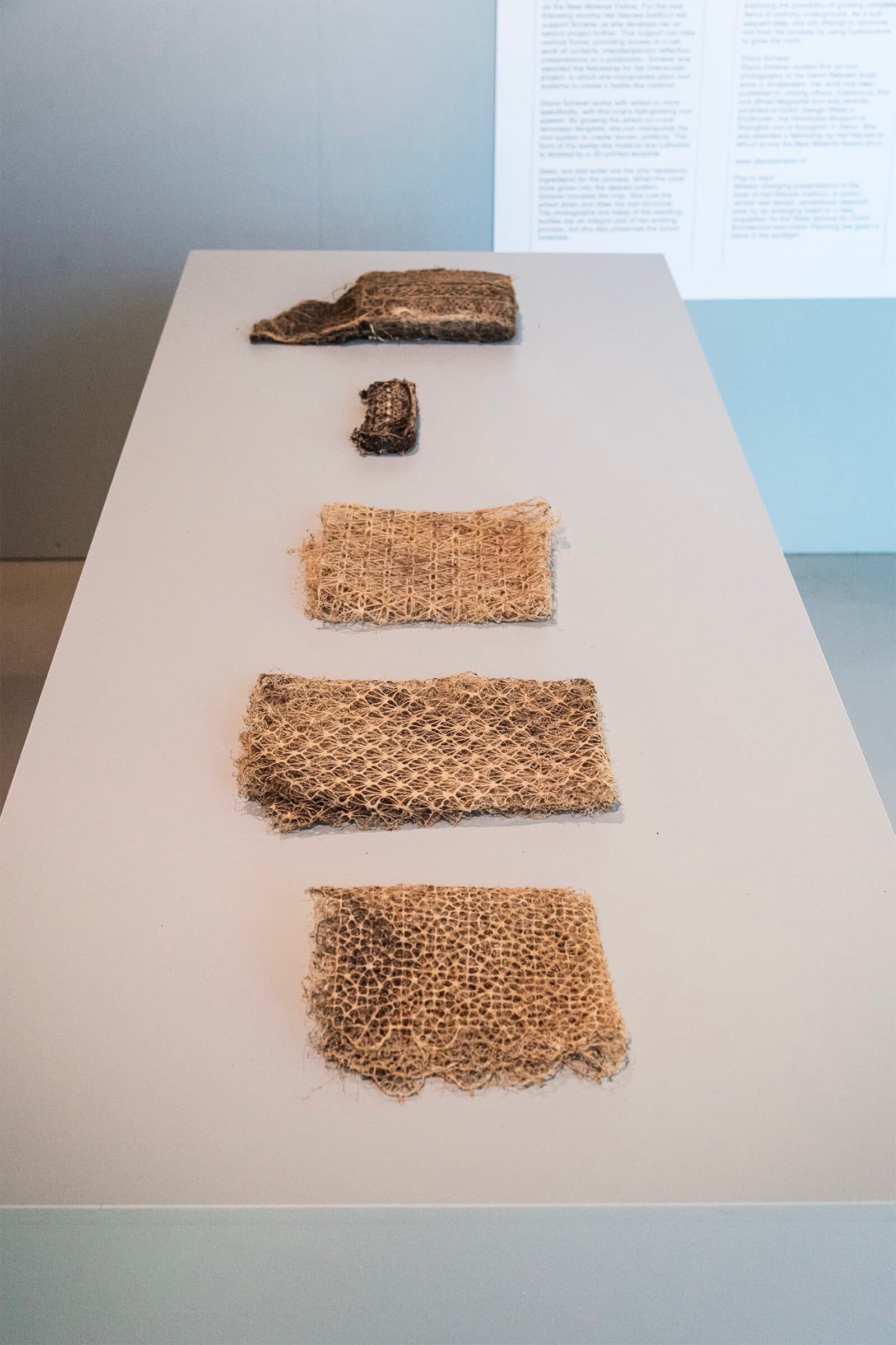 Interwoven. Diana Scherer. Foto Petra van der Ree 