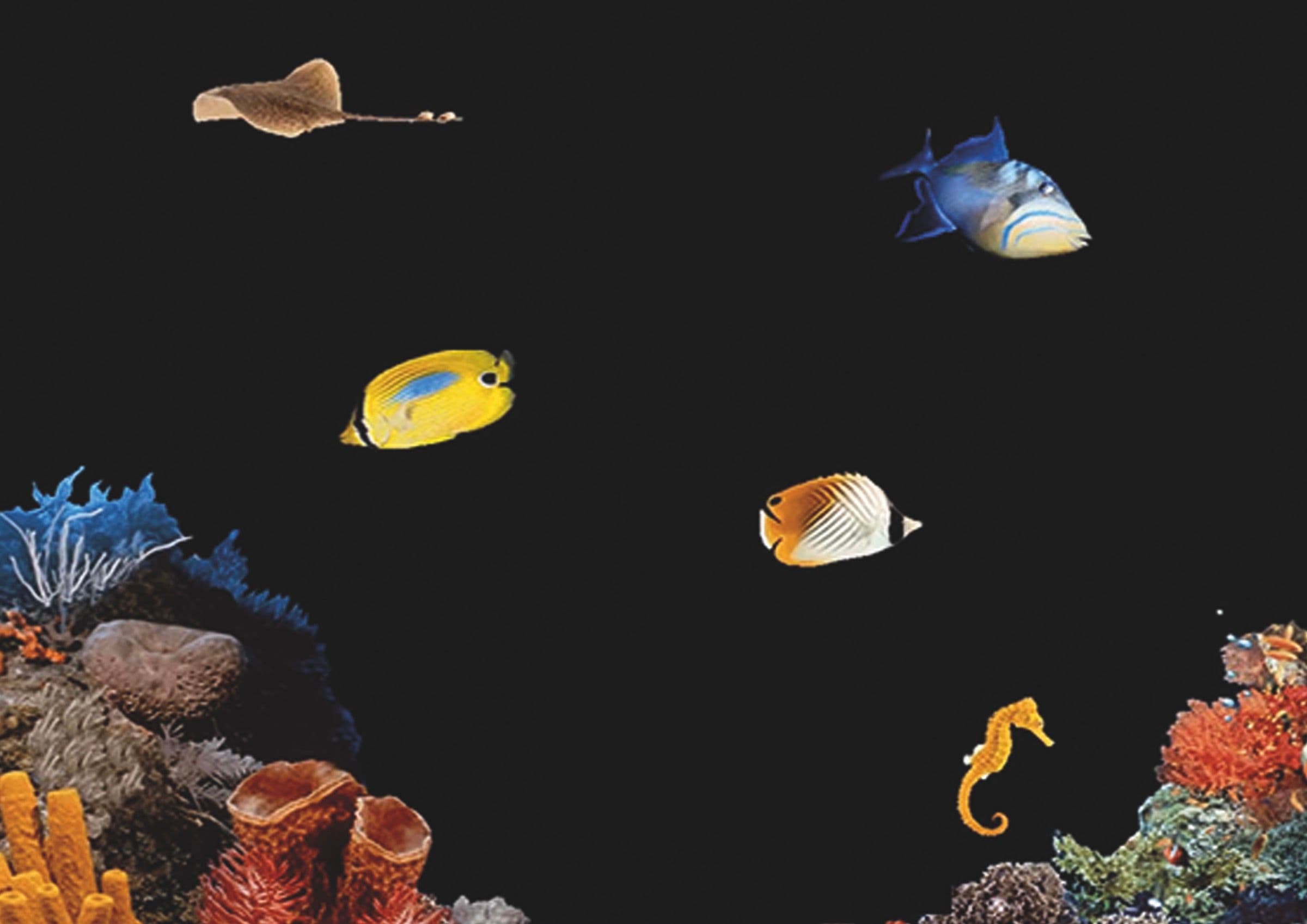 Screensaver Underwater, 1998 © Unknown / Windows ‘95 