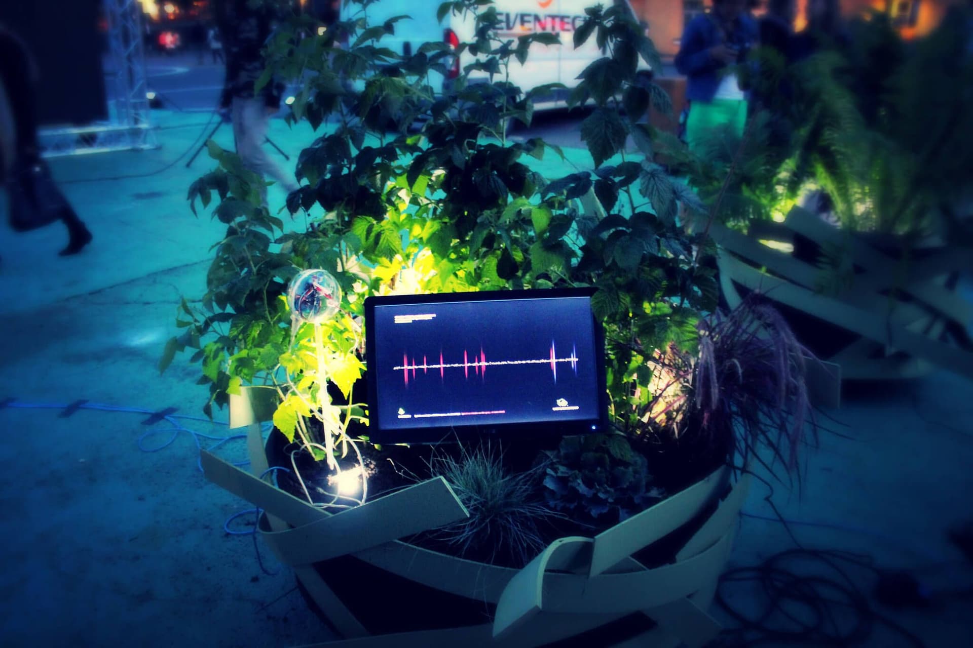 World Wilder Lab, Organic Cinema, 2013 