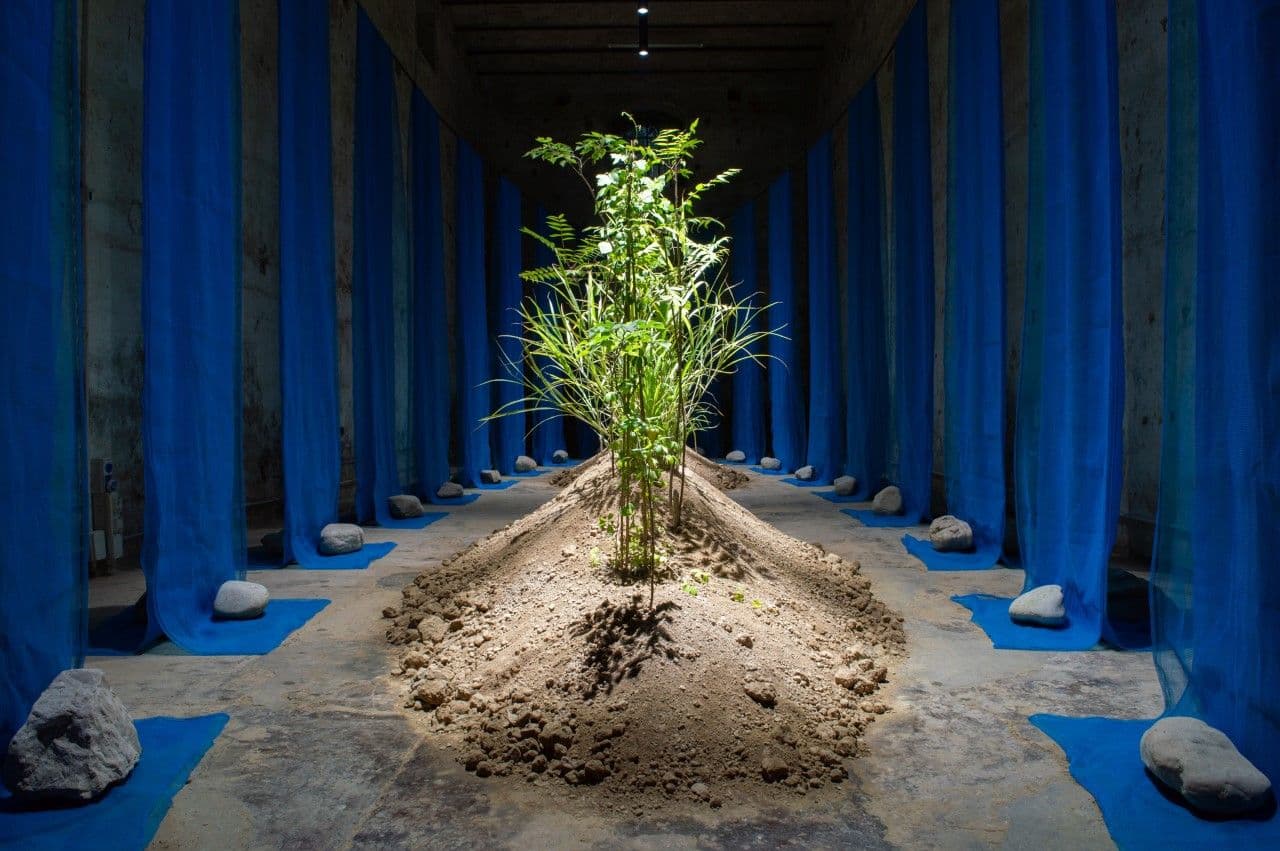 The Forbidden Garden of Europe, 2021. Studio Wild.  