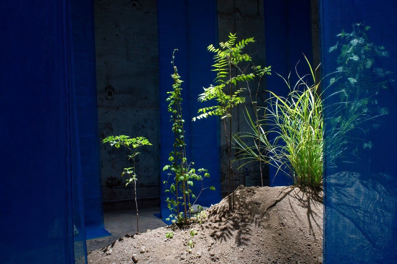 The Forbidden Garden of Europe, 2021. Studio Wild.  