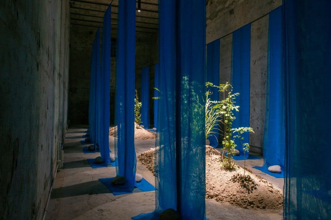 The Forbidden Garden of Europe, 2021. Studio Wild.  