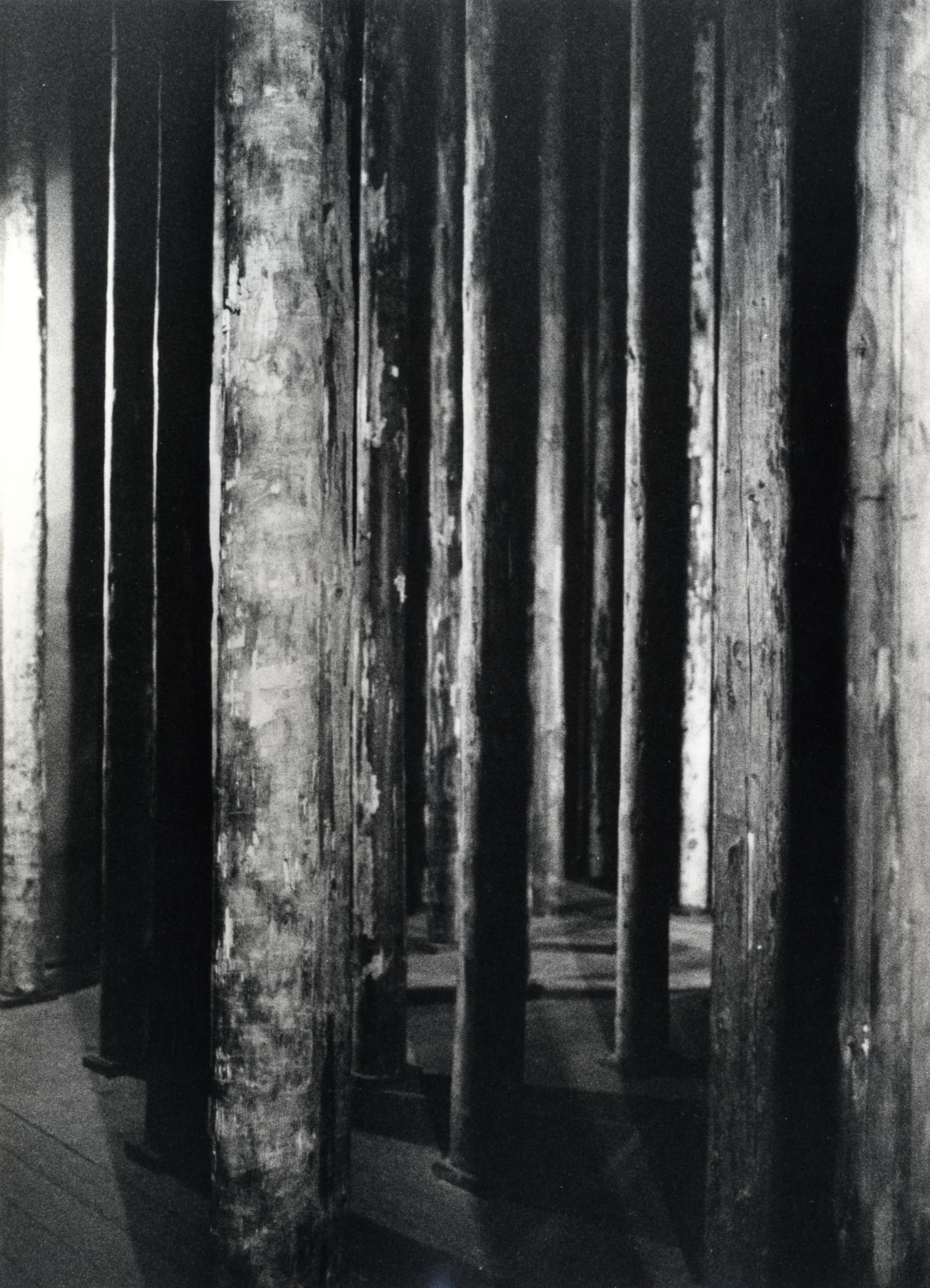  Boomstammen bij de entree, installatie van Aldo van Eyck, Triennale di Milano 1968. Foto Archivio Triennale di Milano. 