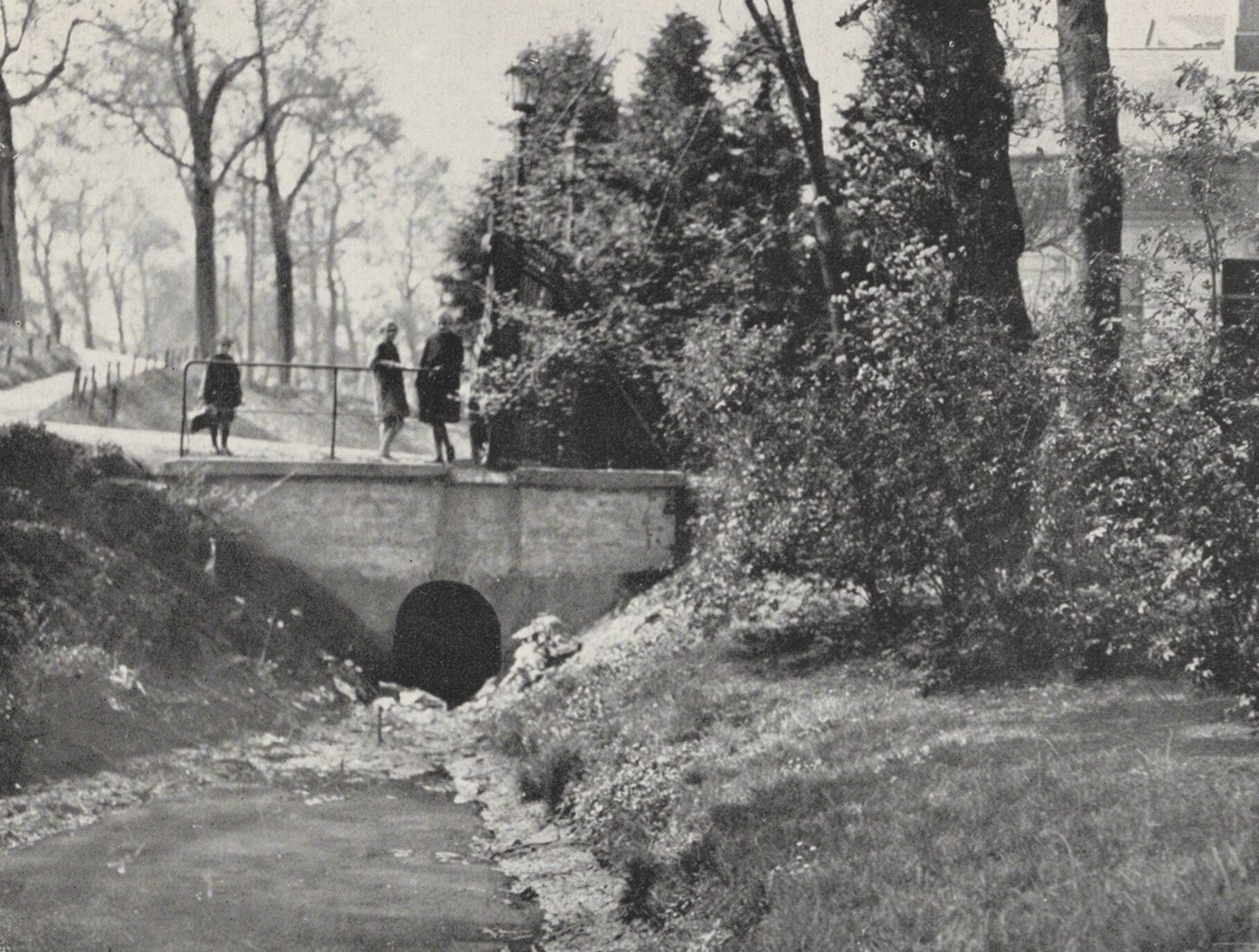 De toegang tot het landgoed Dijkzigt, situatie ca. 1925. W.G. Witteveen, Het uitbreidingsplan voor het Land van Hoboken, Rotterdam, 1927, p. 11. Collectie Het Nieuwe Instituut, NIROV bibliotheek, 49.183