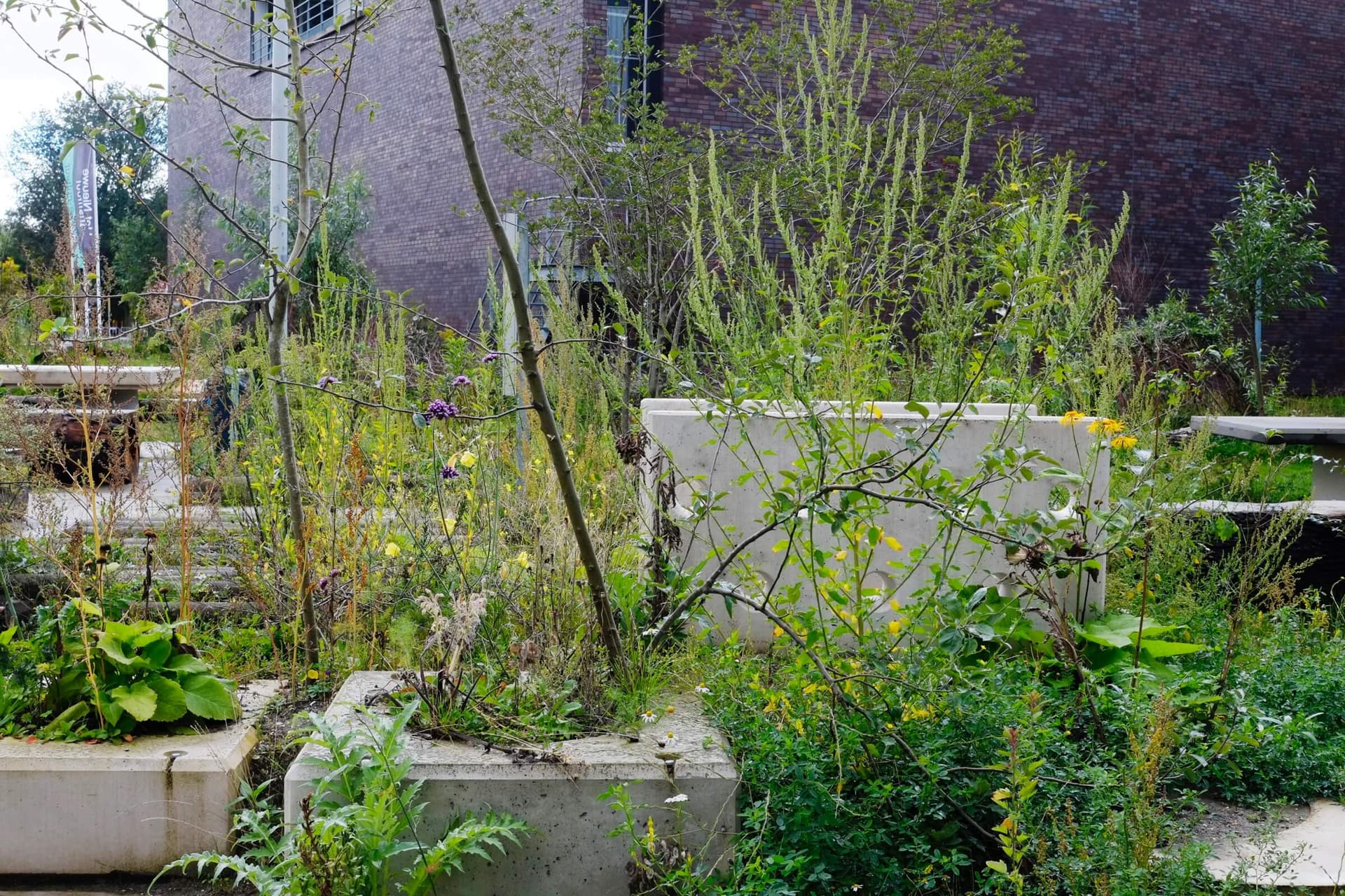 The New Garden, summer 2015. Photo Johannes Schwartz 