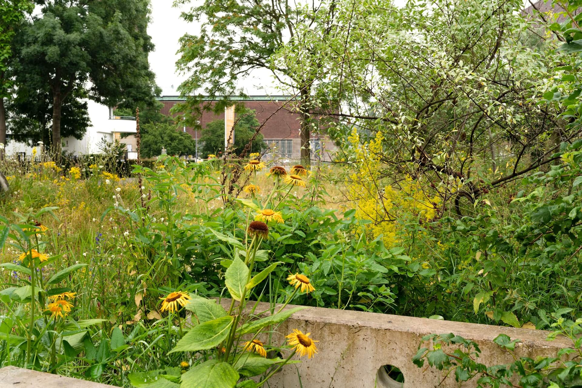 The New Garden, July 2019. Photo Johannes Schwartz. 