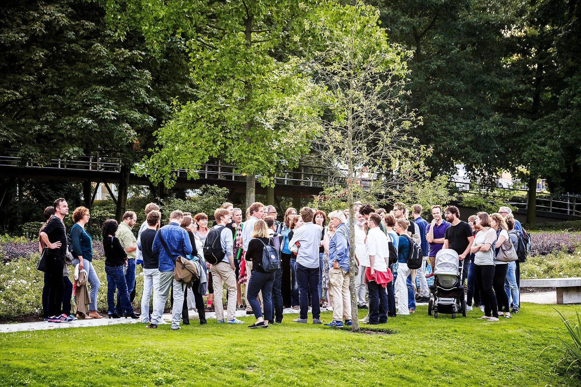 Bomenwandeling. Foto Matthijs Immink 