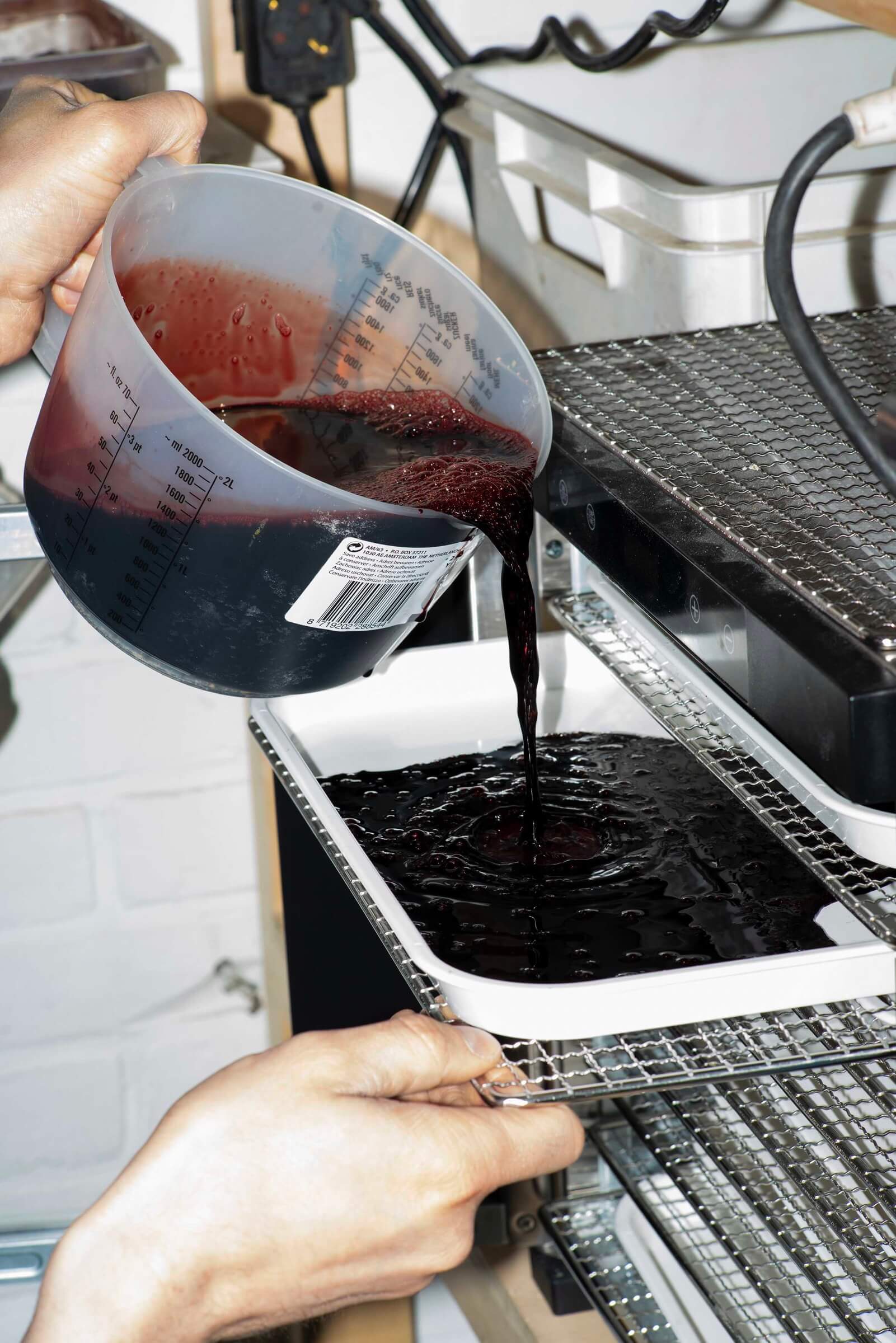 Preparing the blood for drying. Photo courtesy of Basse Stittgen. 