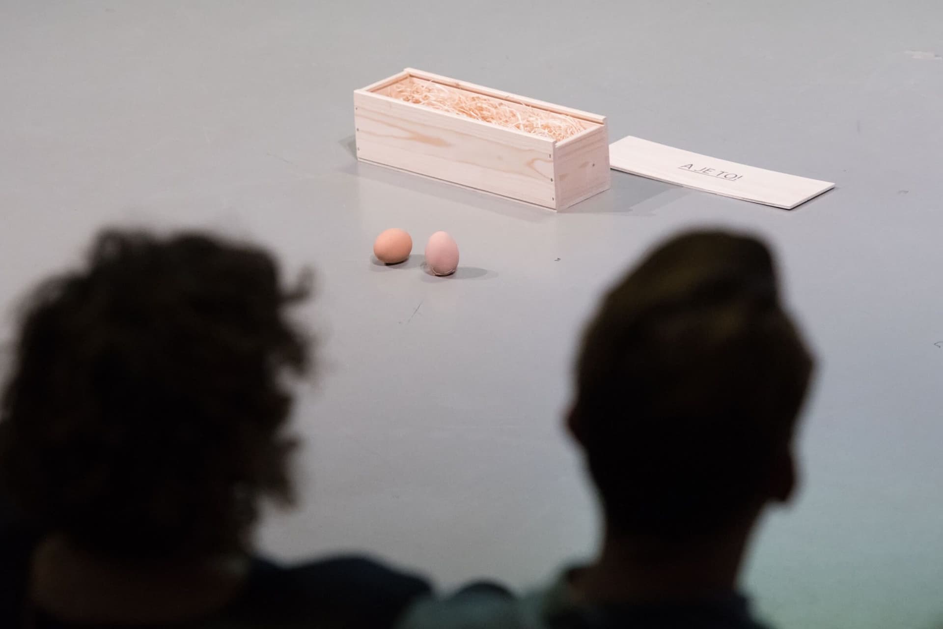 BNO IMG LAB: Gouden Handjes. Image from the presentation by Robert Lagendijk. Photo Hans Tak 