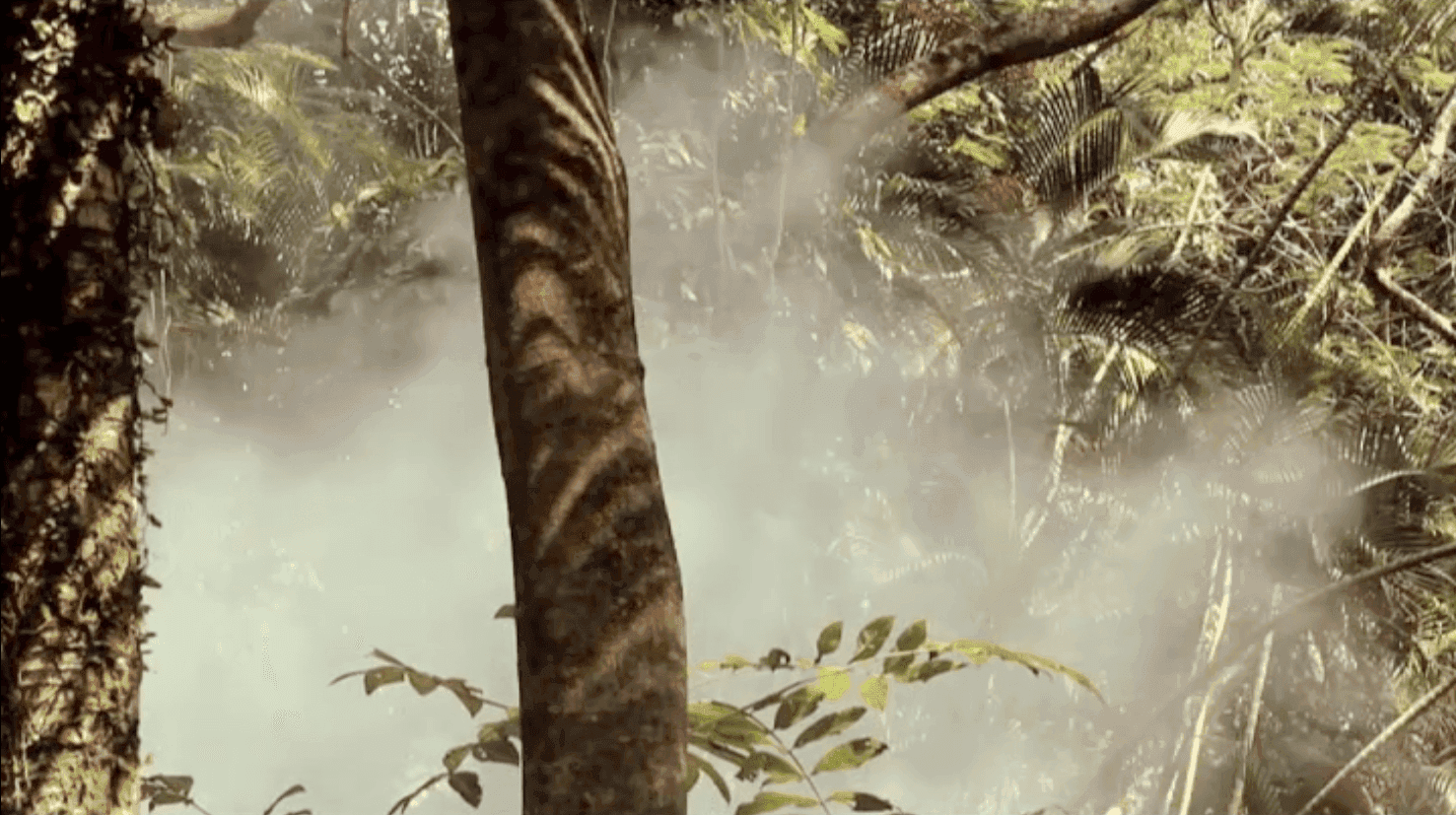 Untitled (We do the voodoo), 2015, Brazil. Barbara Marcel. Video still. Courtesy of The One Minutes Foundation. 